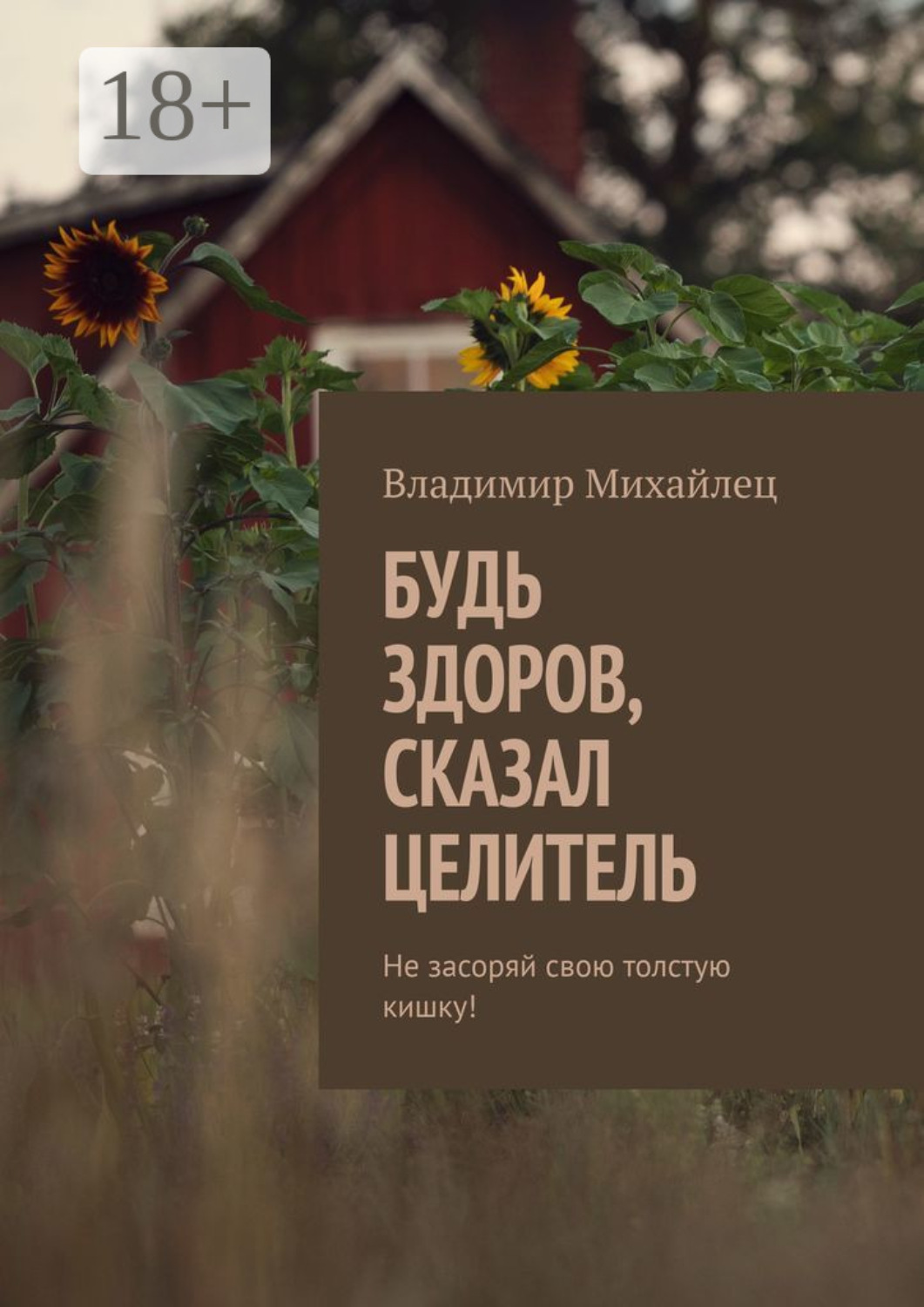 Обложка книги «Будь здоров, сказал целитель. Не засоряй свою толстую кишку!»