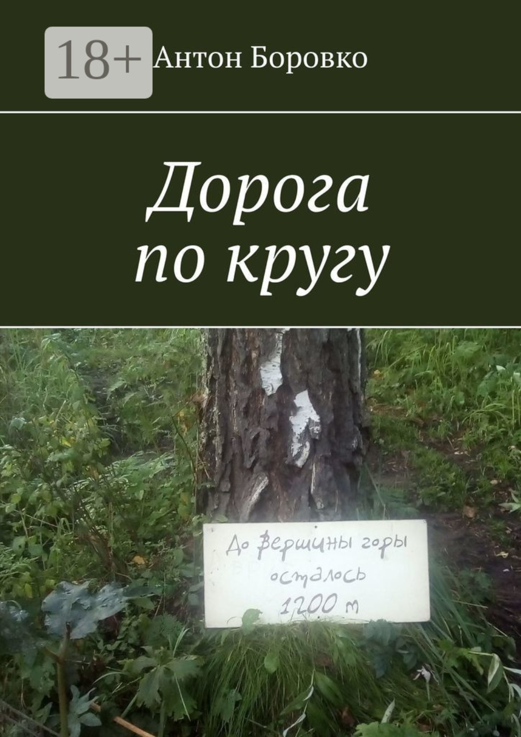 Обложка книги «Дорога по кругу»