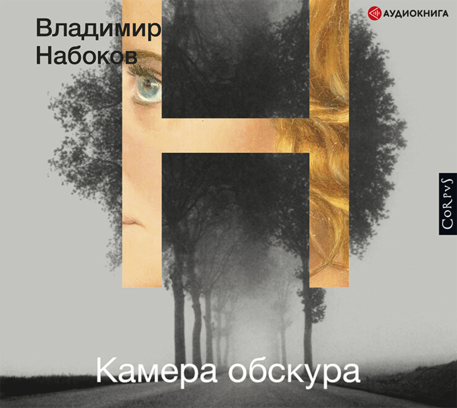 Обложка книги «Камера обскура»