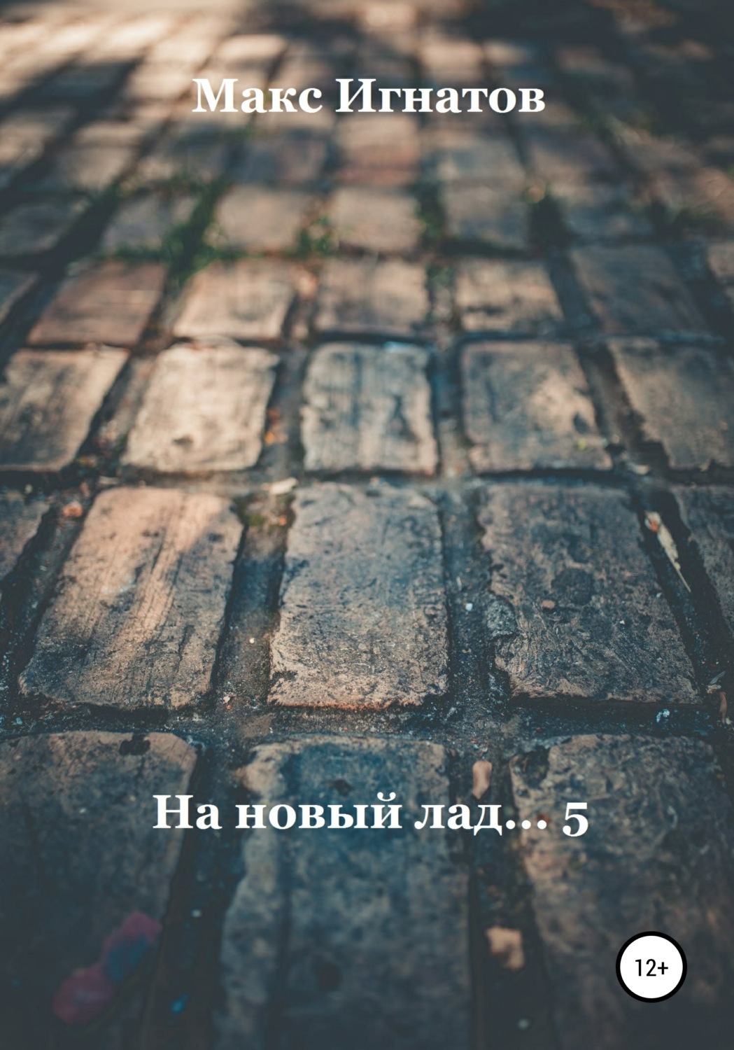 Обложка книги «На новый лад… 5»