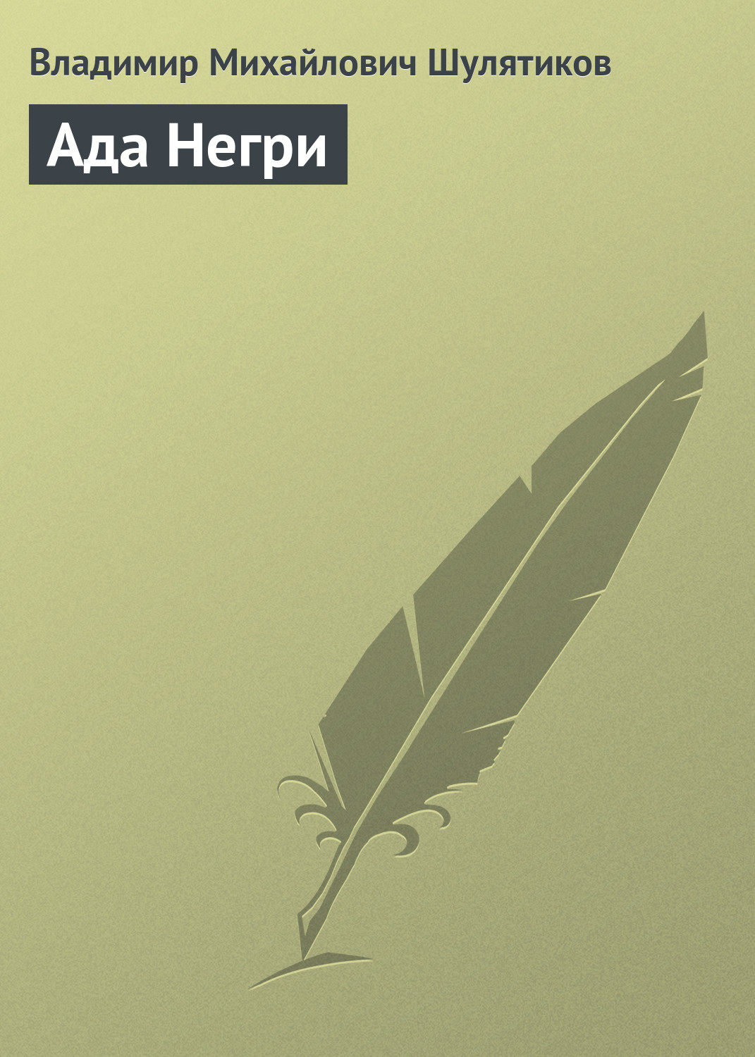 Обложка книги «Ада Негри»