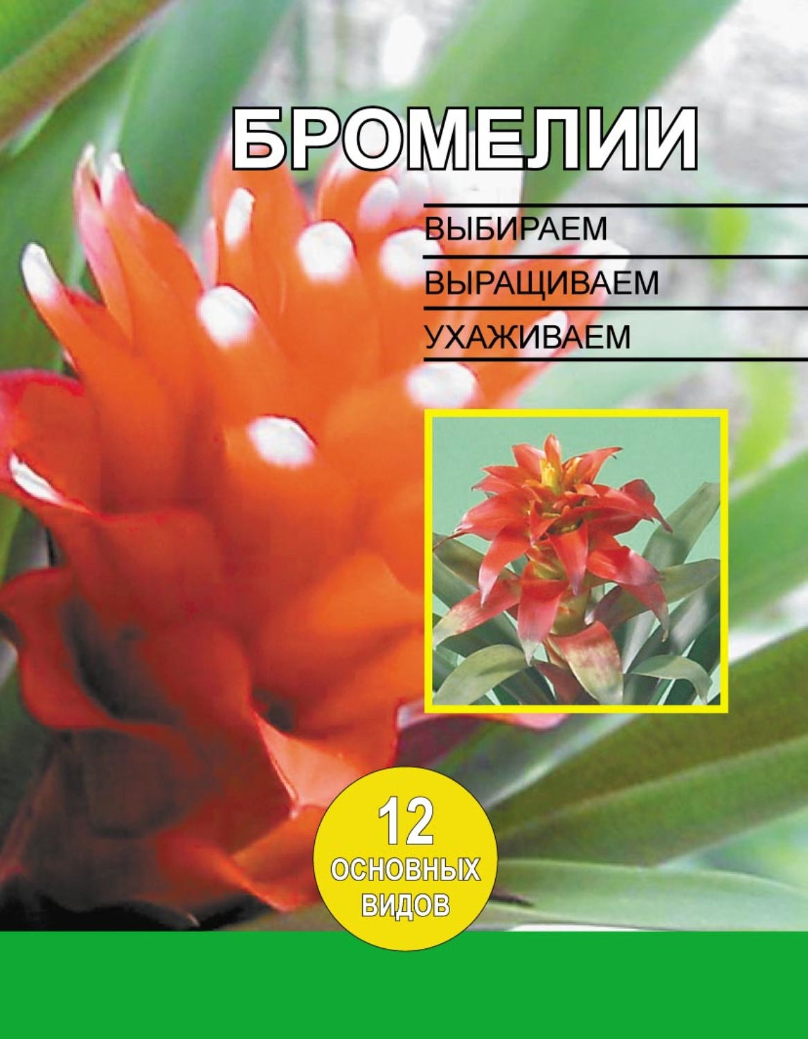 Обложка книги «Бромелии. Выбираем, выращиваем, ухаживаем»