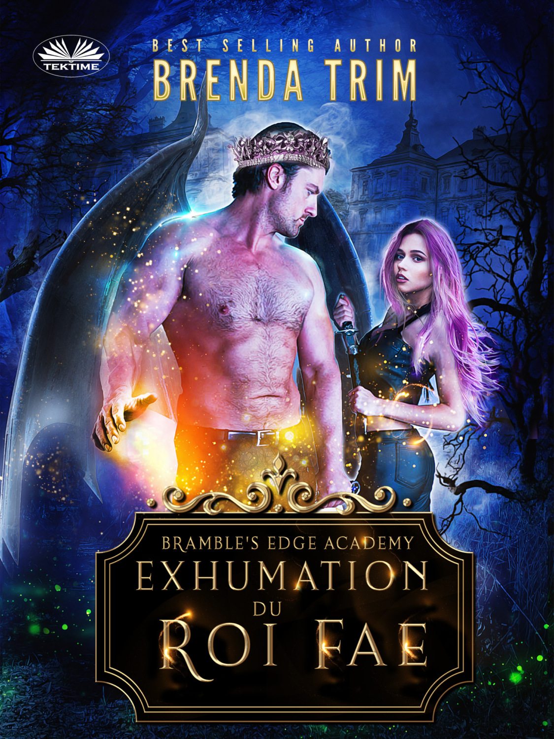 Обложка книги «Exhumation Du Roi Fae»