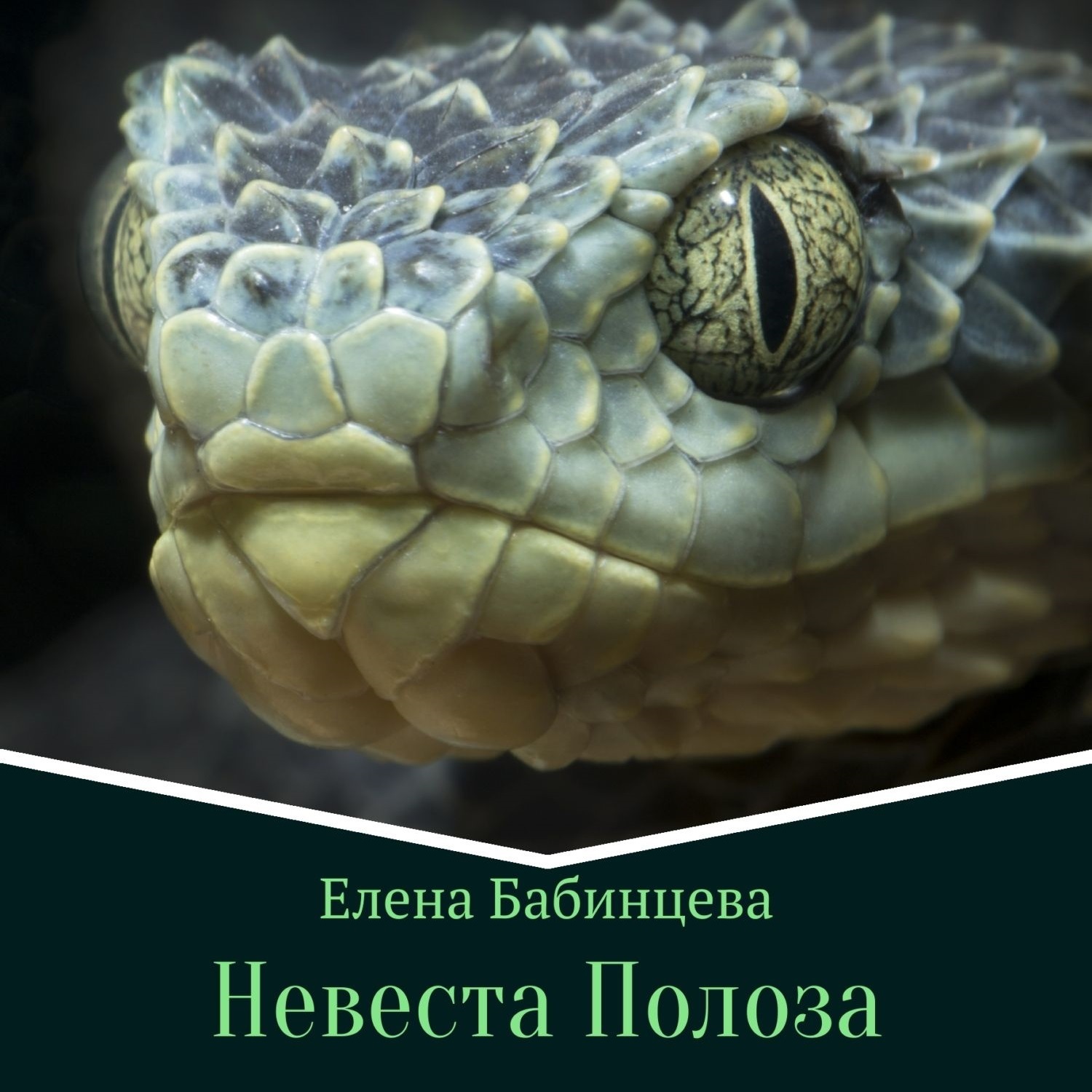 Обложка книги «Невеста Полоза»