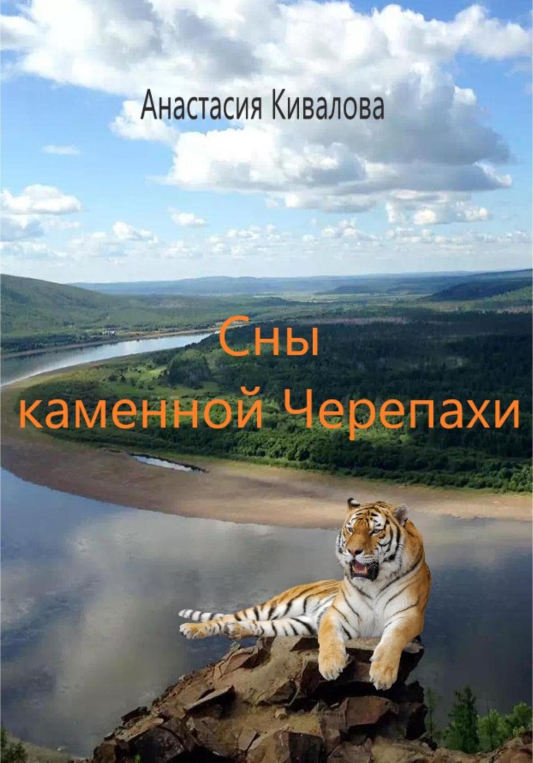 Обложка книги «Сны каменной Черепахи»