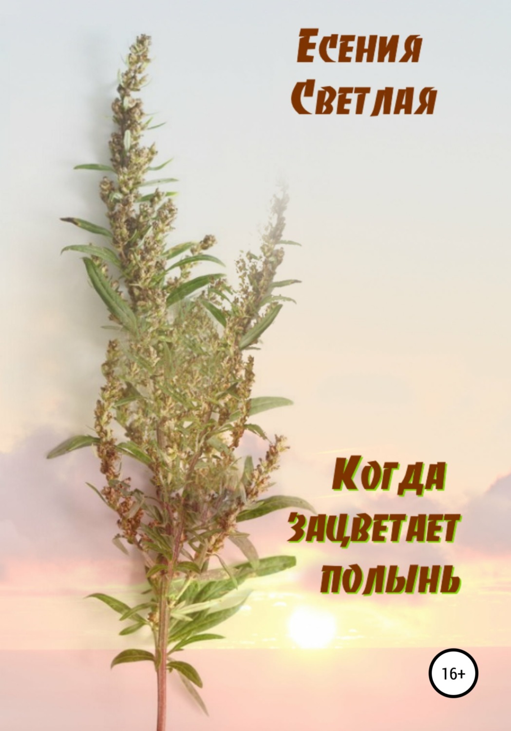 Обложка книги «Когда зацветает полынь»