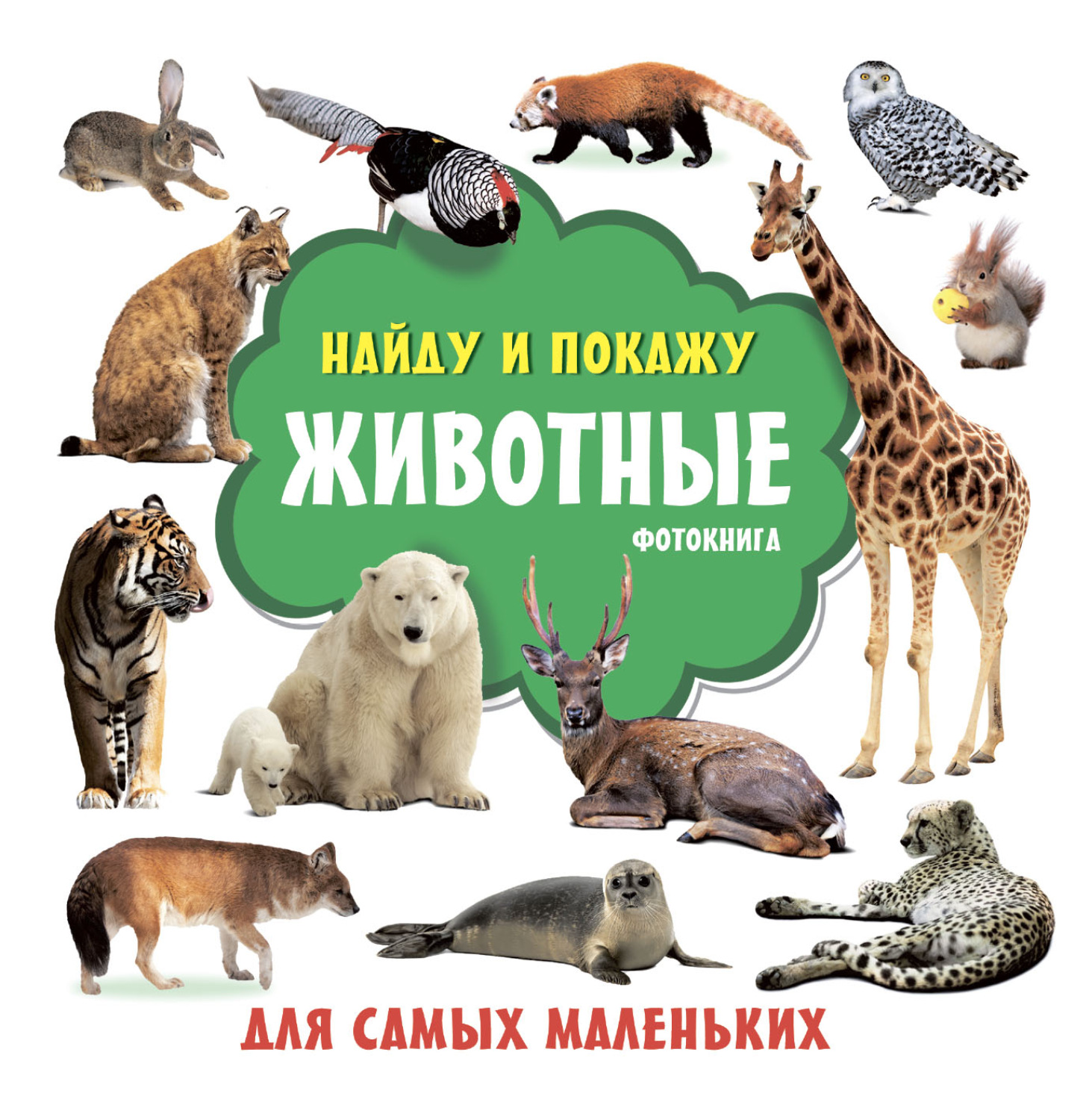 Обложка книги «Животные. Фотокнига»