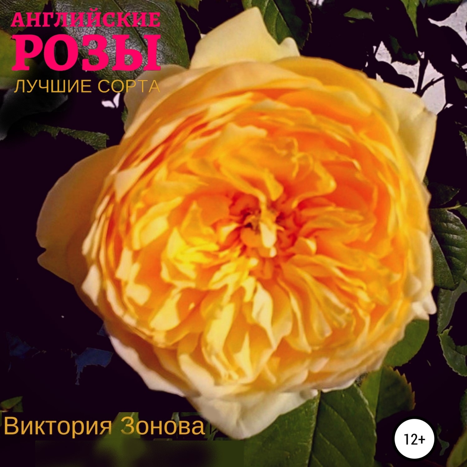 Обложка книги «Английские розы. Лучшие сорта»
