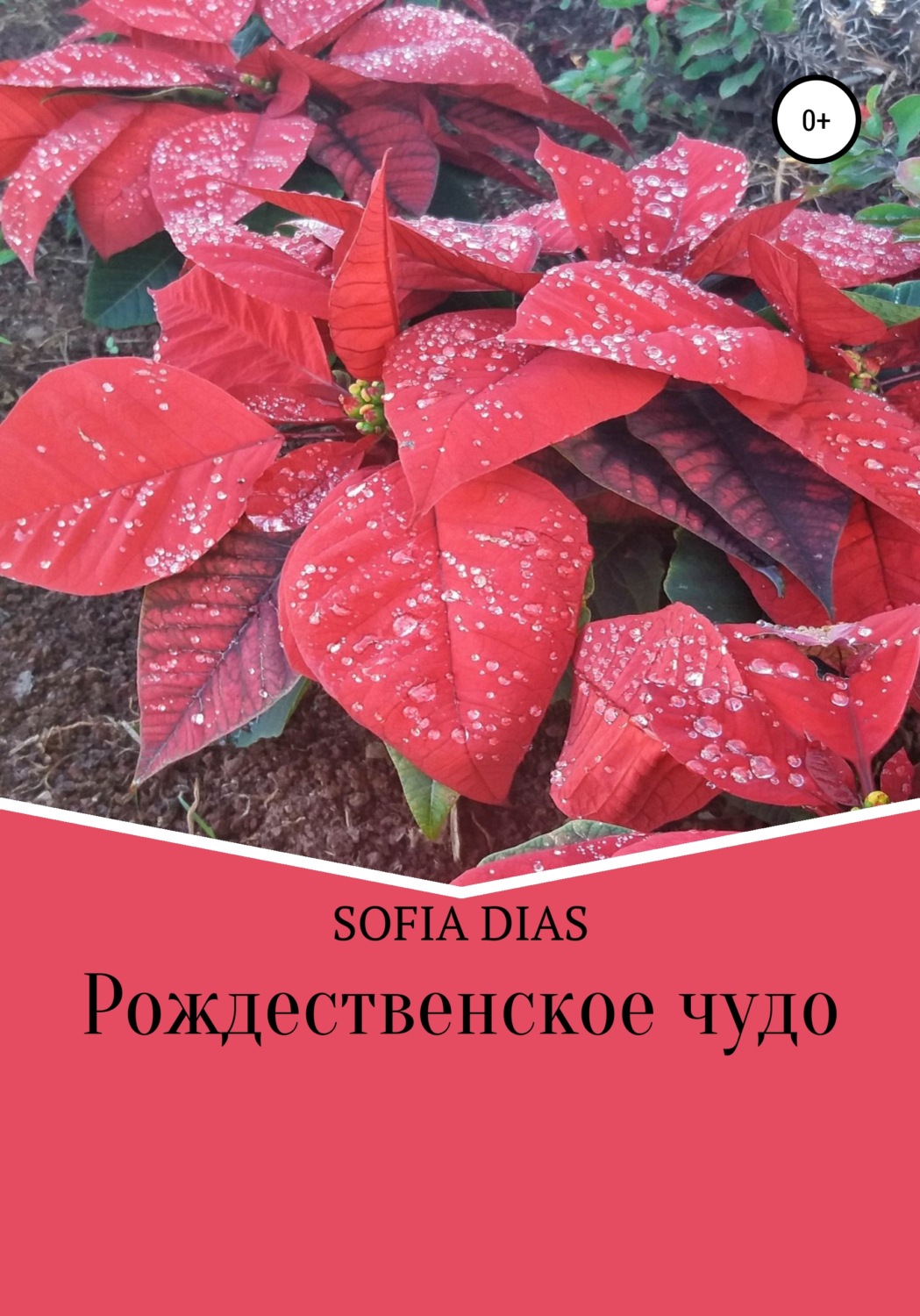 Обложка книги «Рождественское Чудо»