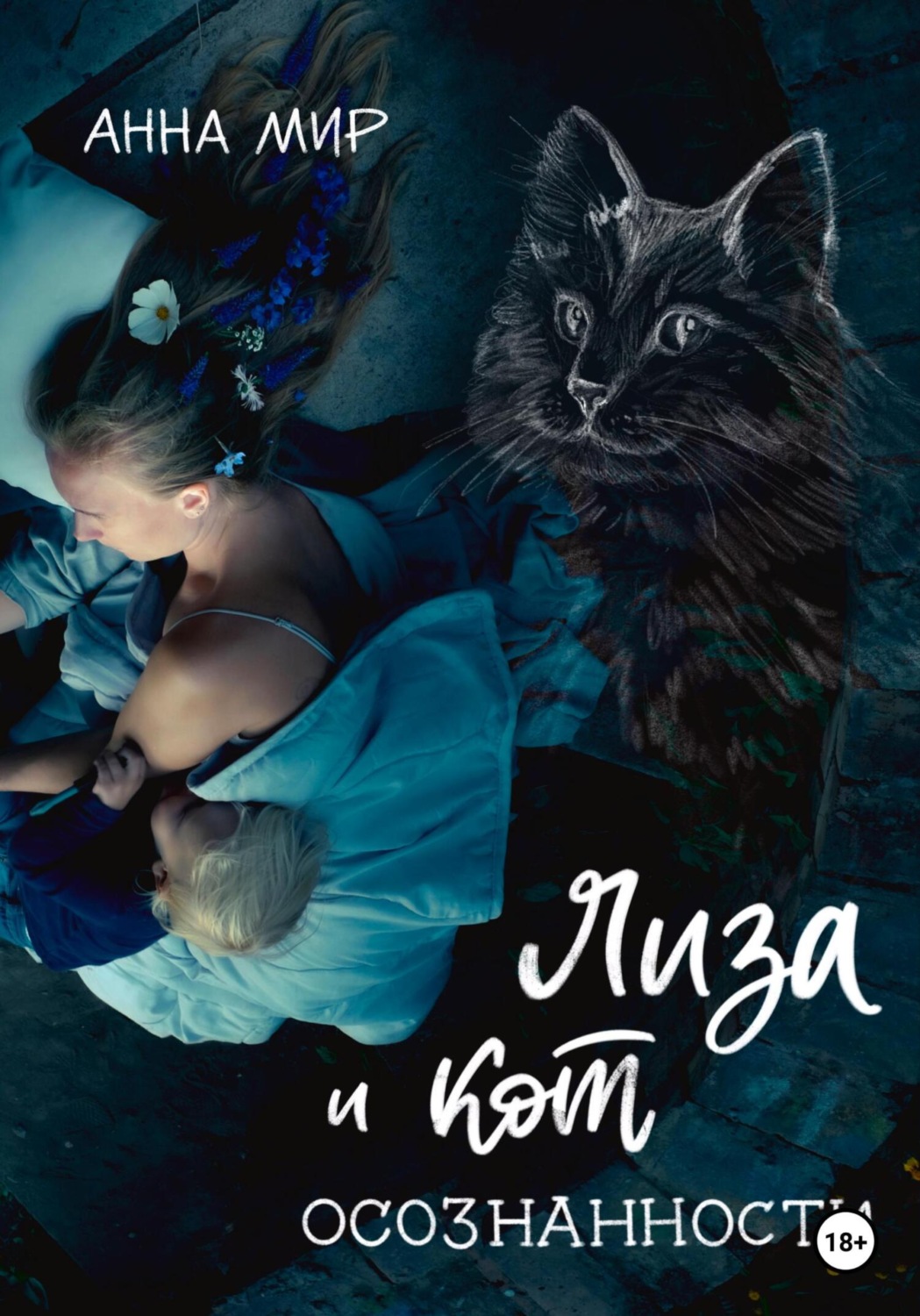 Обложка книги «Лиза и Кот осознанности»