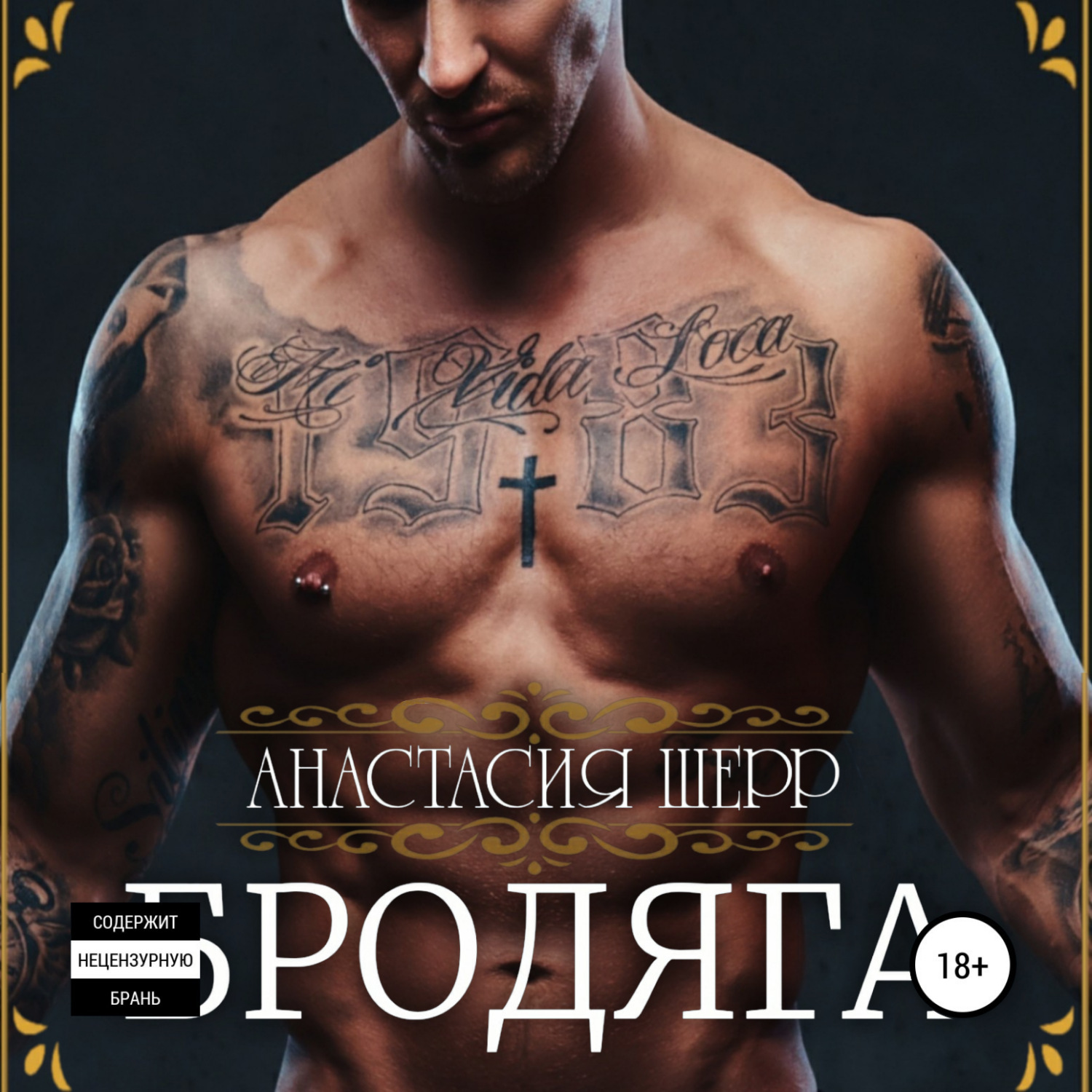 Обложка книги «Бродяга»