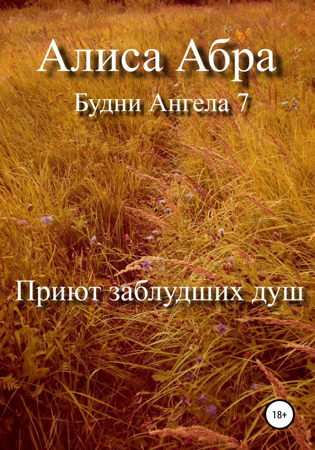 Обложка книги «Приют заблудших душ»