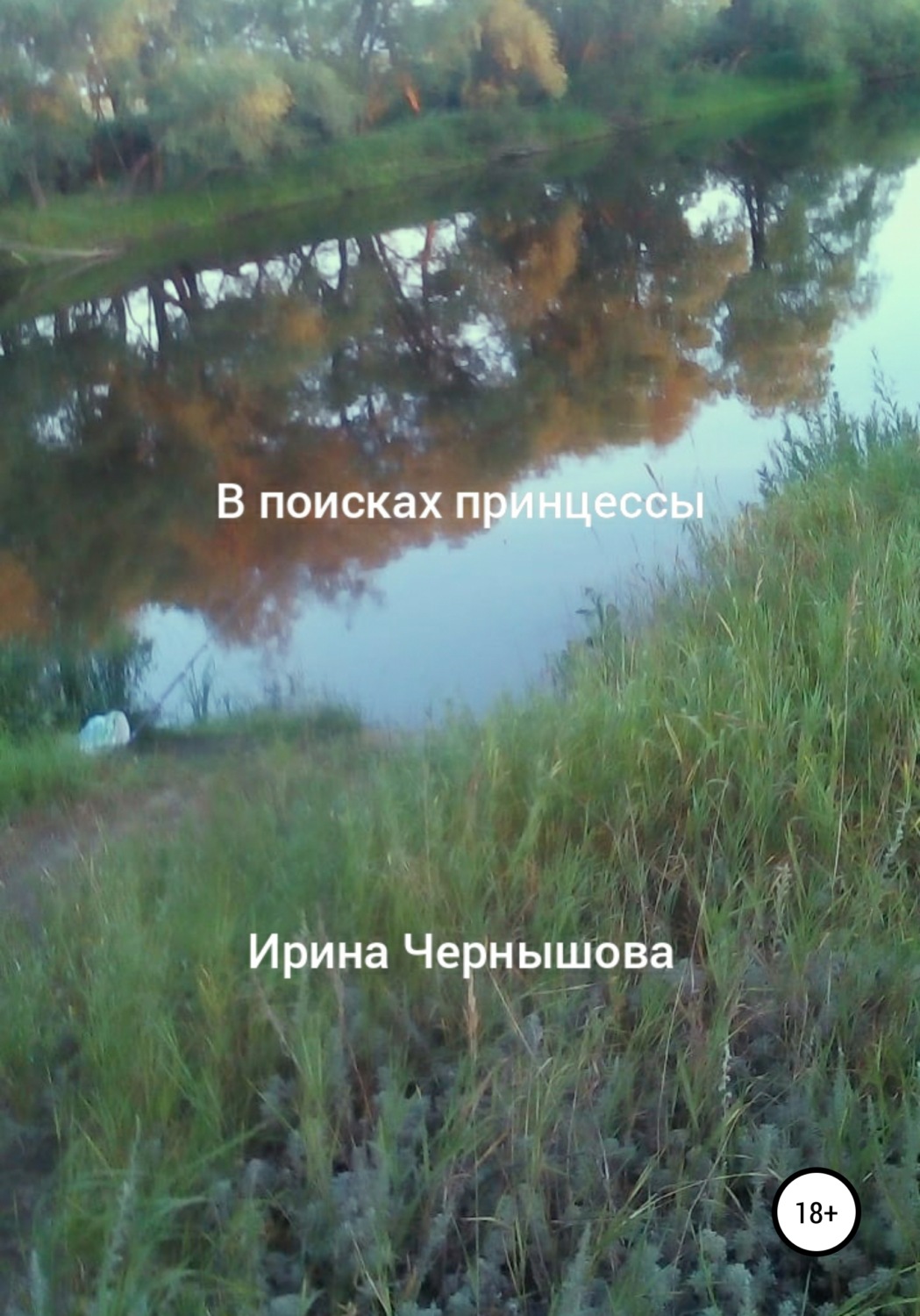 Обложка книги «В поисках принцессы»