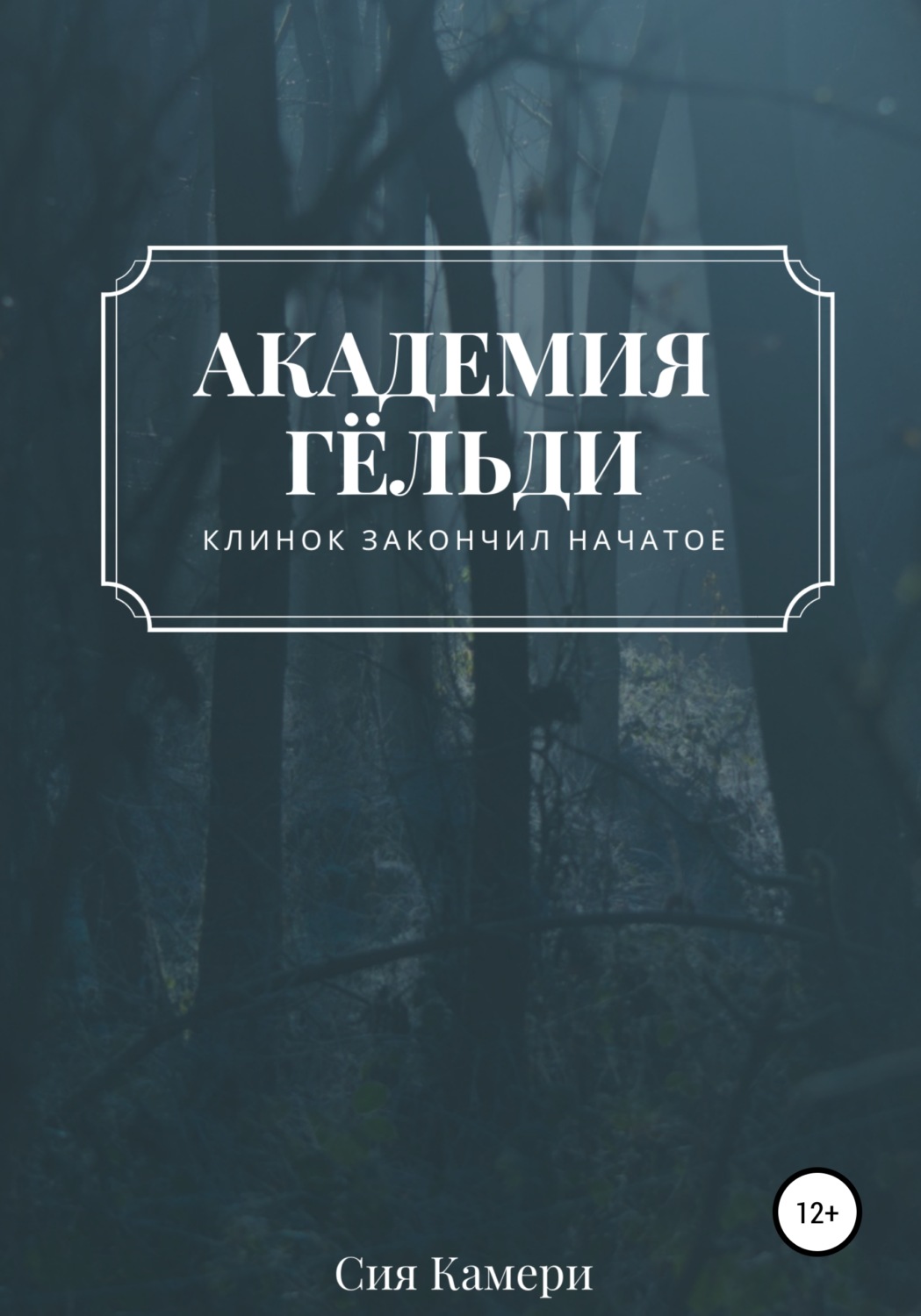 Обложка книги «Академия Гёльди»
