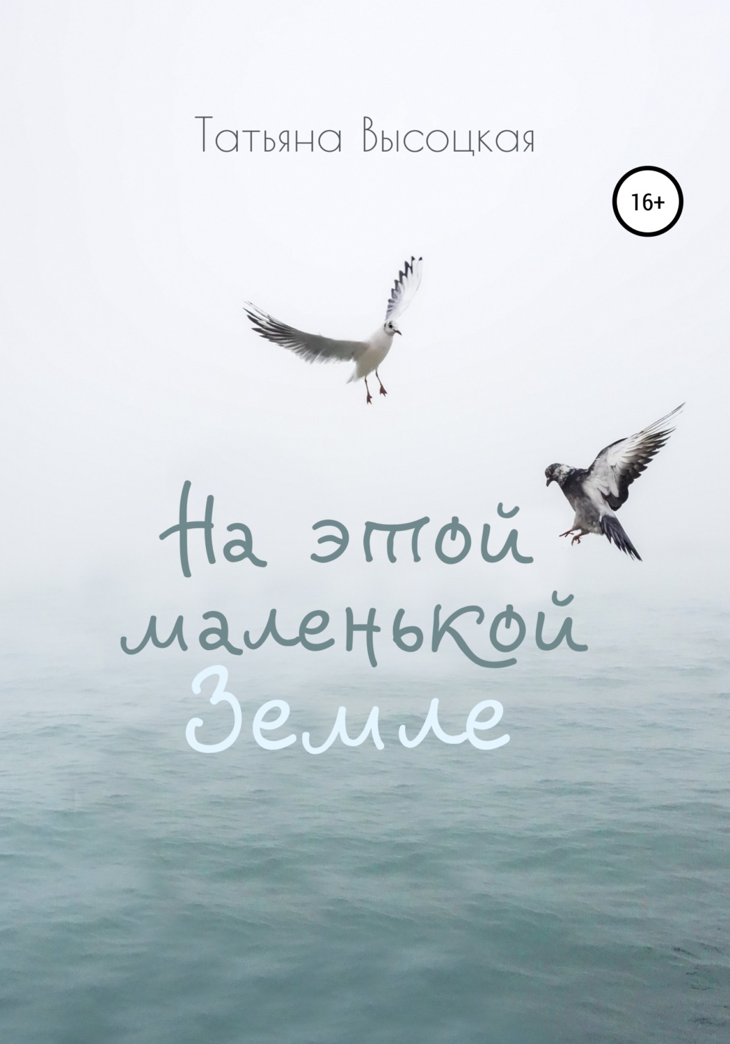 Обложка книги «На этой маленькой Земле»