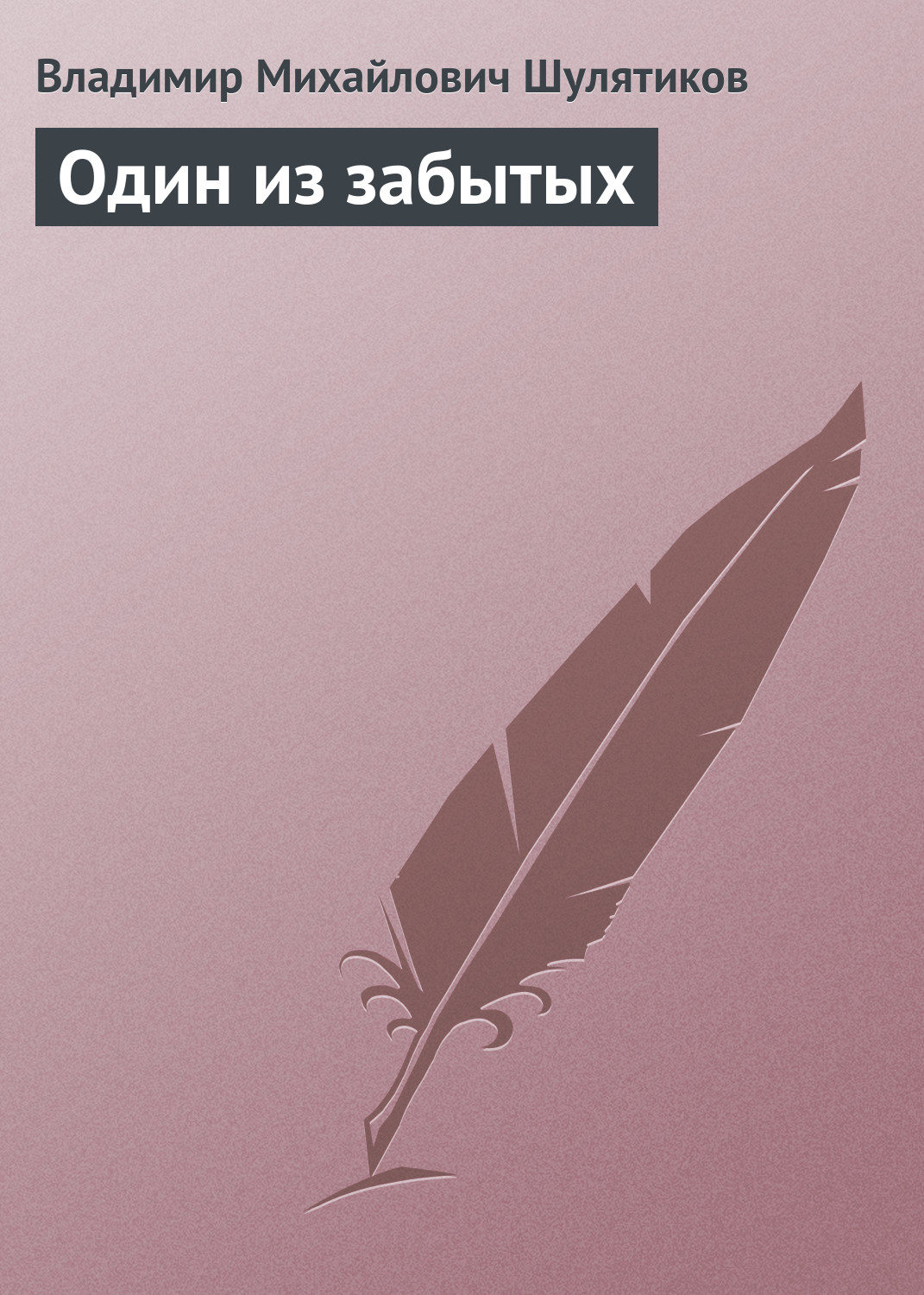 Обложка книги «Один из забытых»