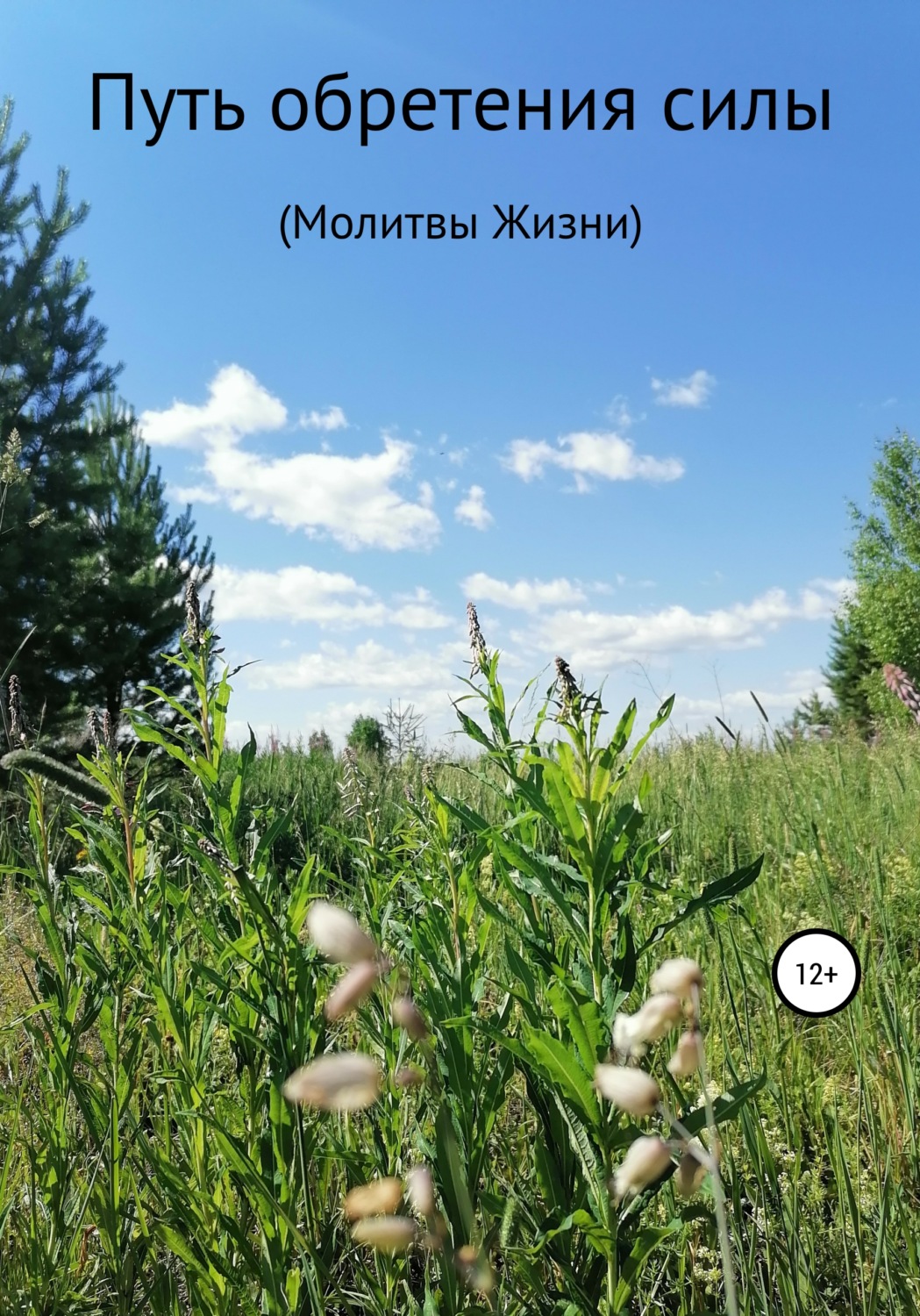 Обложка книги «Путь обретения силы. Молитвы Жизни»
