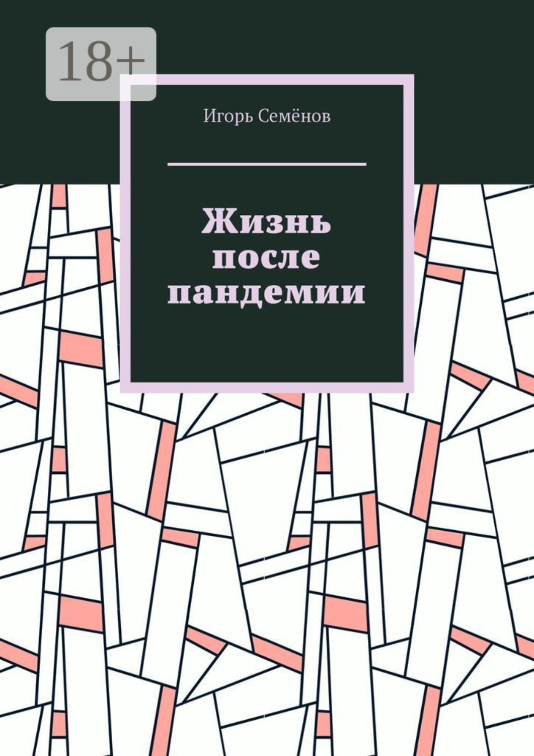 Обложка книги «Жизнь после пандемии»