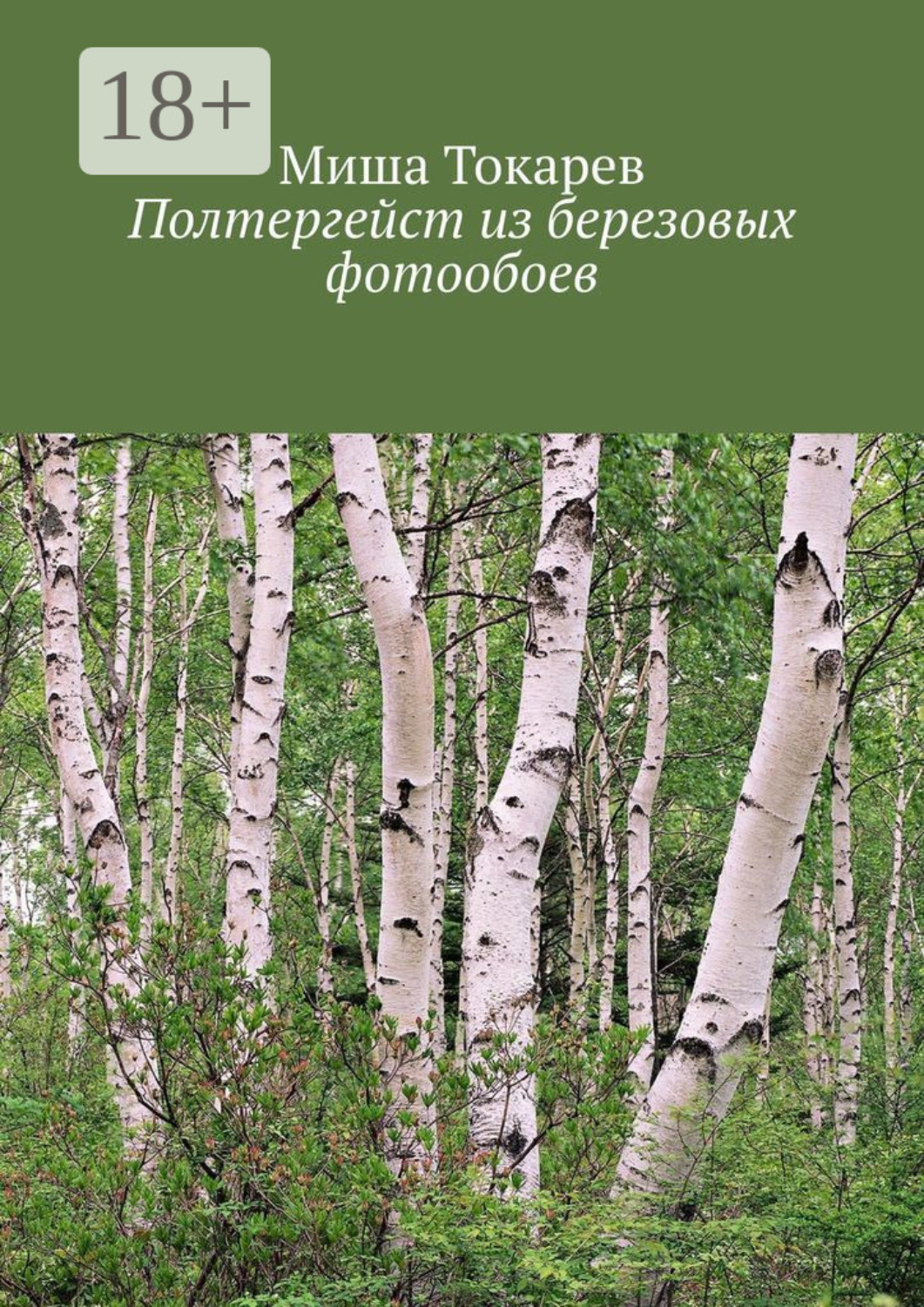 Обложка книги «Полтергейст из березовых фотообоев»