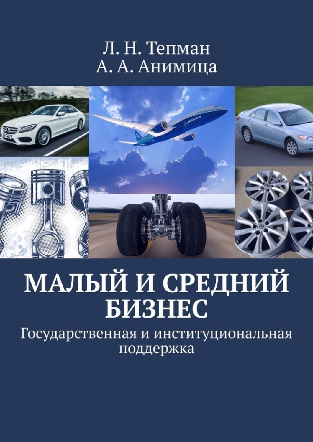 Обложка книги «Малый и средний бизнес. Государственная и институциональная поддержка»