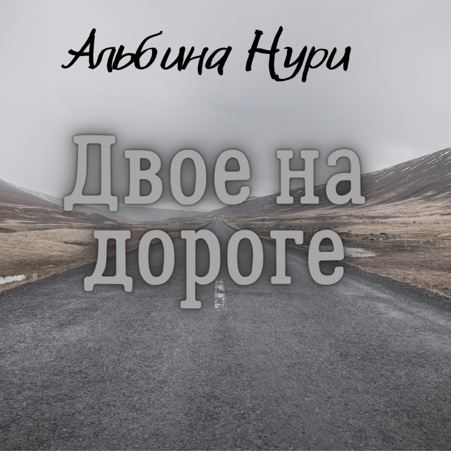 Обложка книги «Двое на дороге»