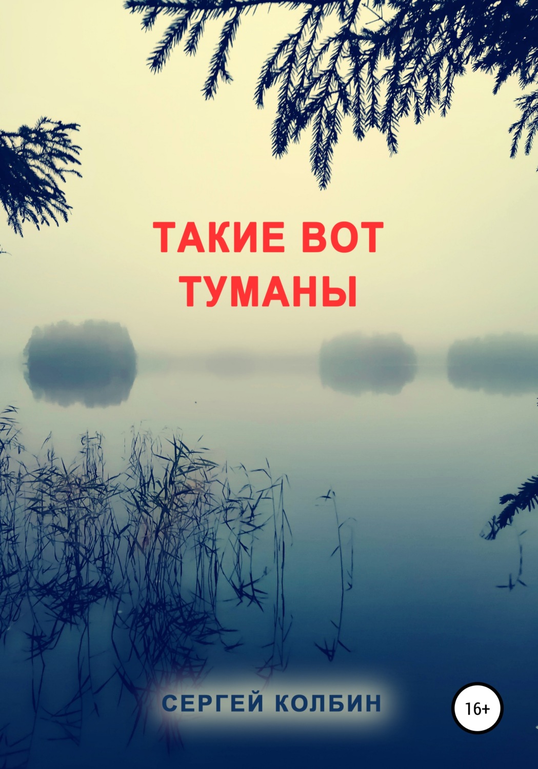 Обложка книги «Такие вот туманы»
