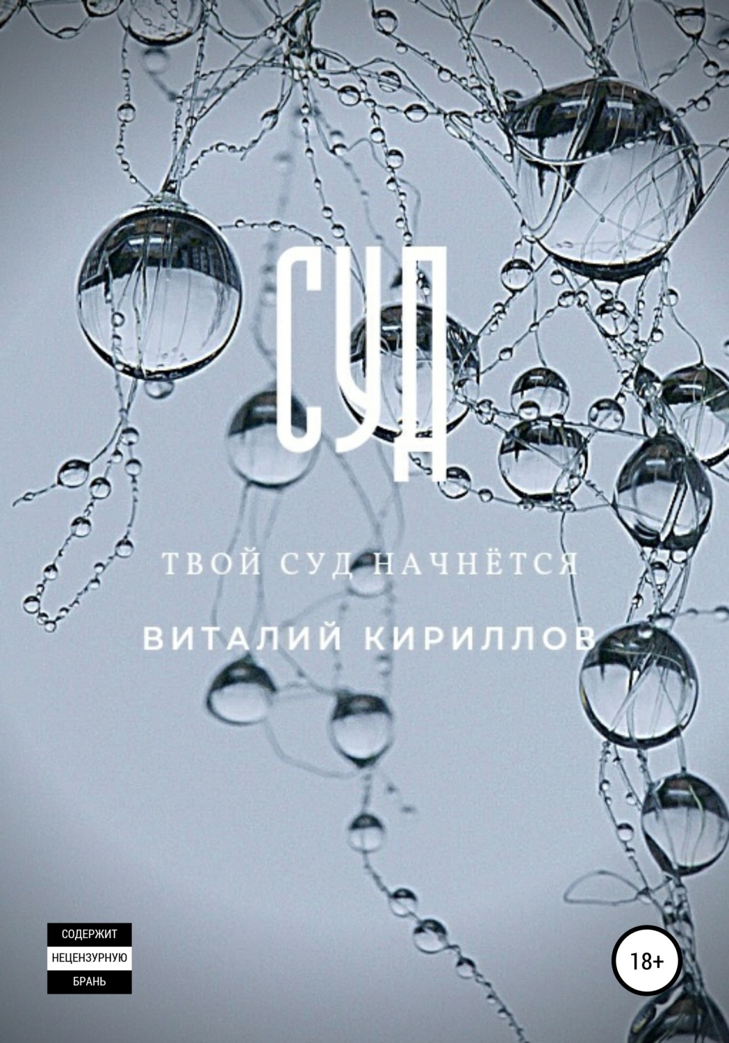 Обложка книги «Суд»