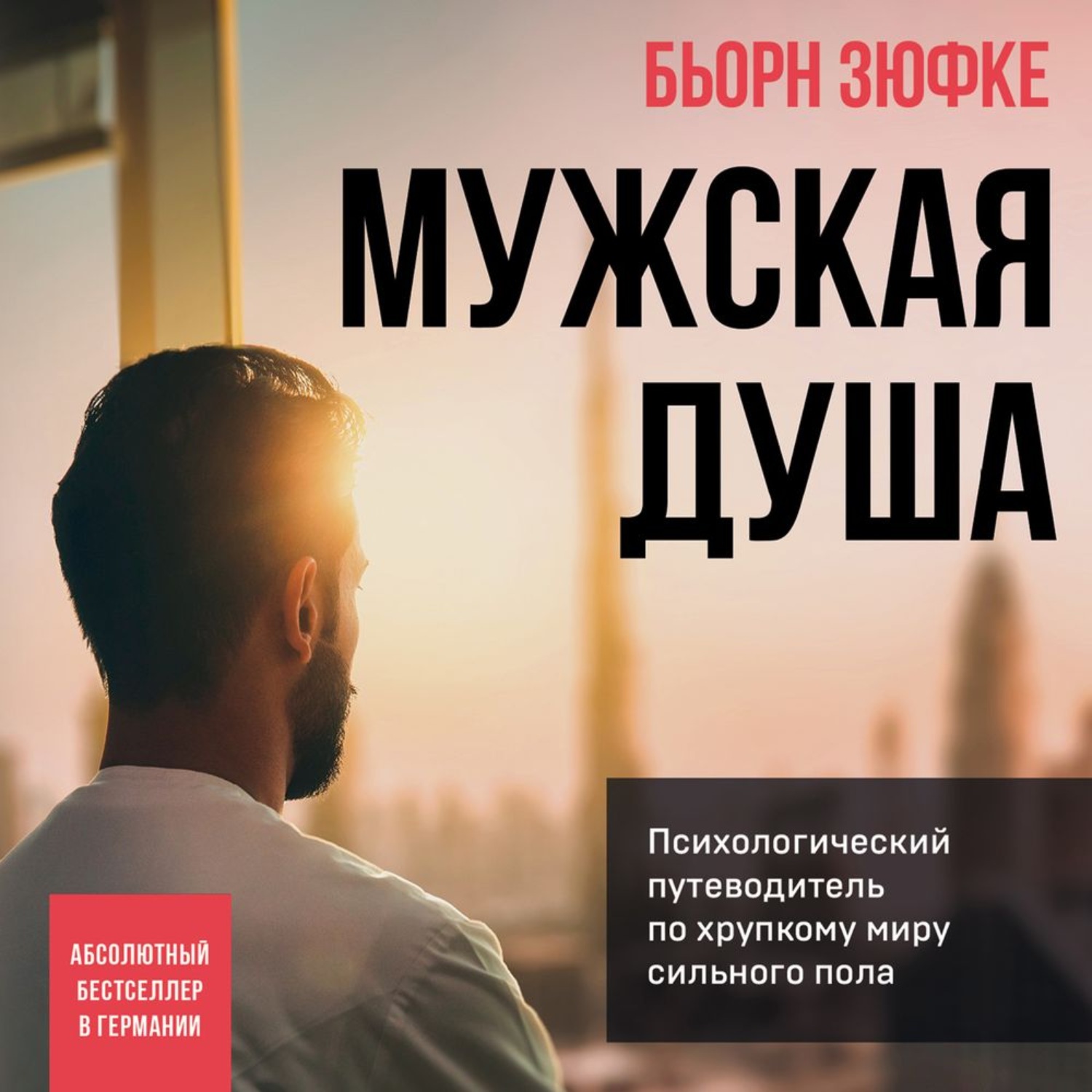 Обложка книги «Мужская душа. Психологический путеводитель по хрупкому миру сильного пола»