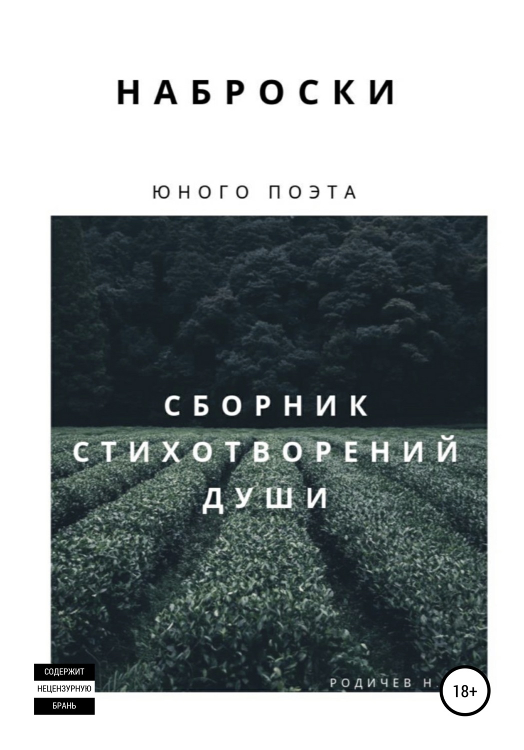 Обложка книги «Наброски юного поэта, или Сборник стихотворений души»