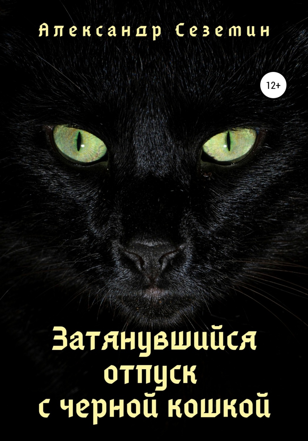 Обложка книги «Затянувшийся отпуск с черной кошкой»