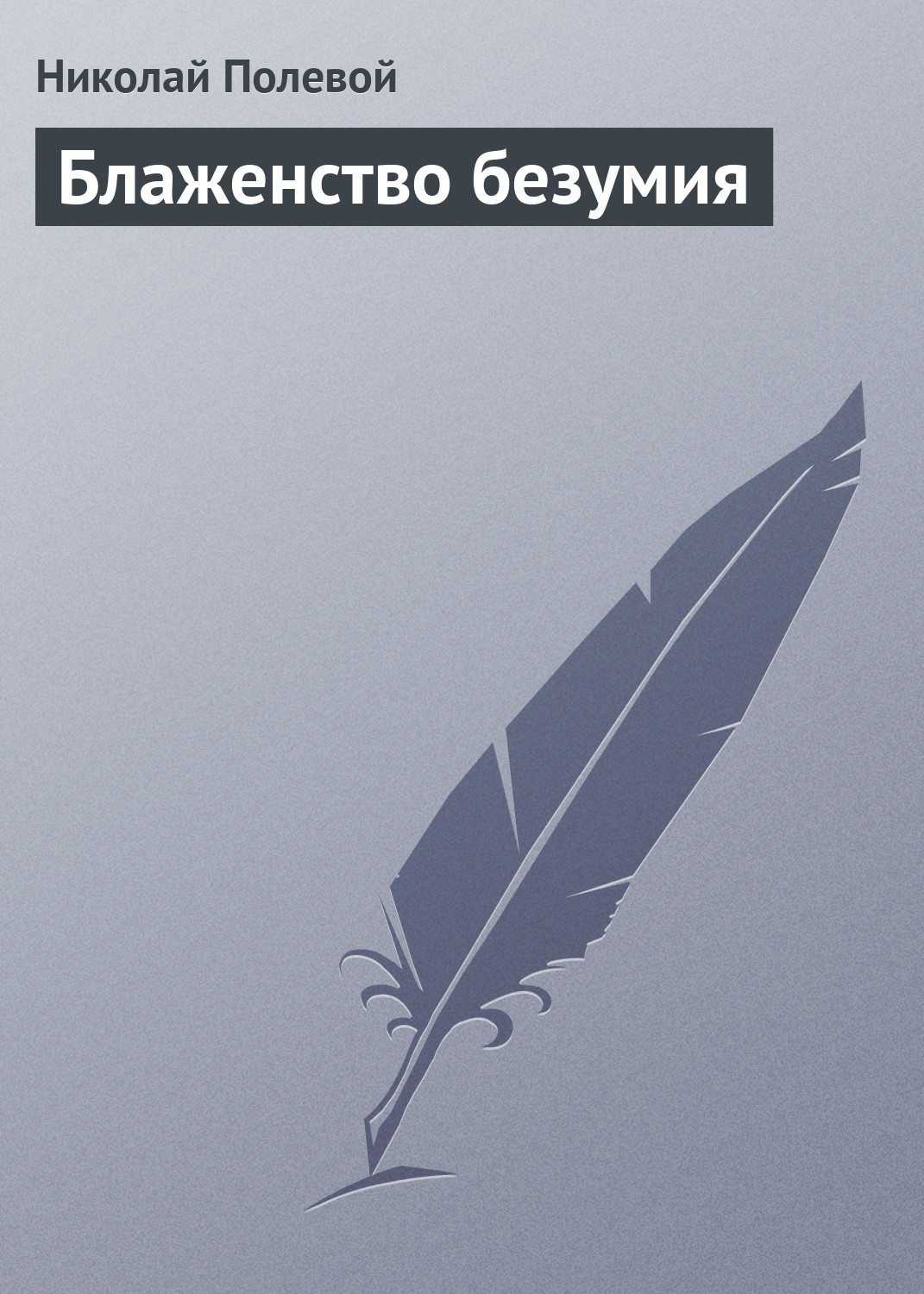 Обложка книги «Блаженство безумия»