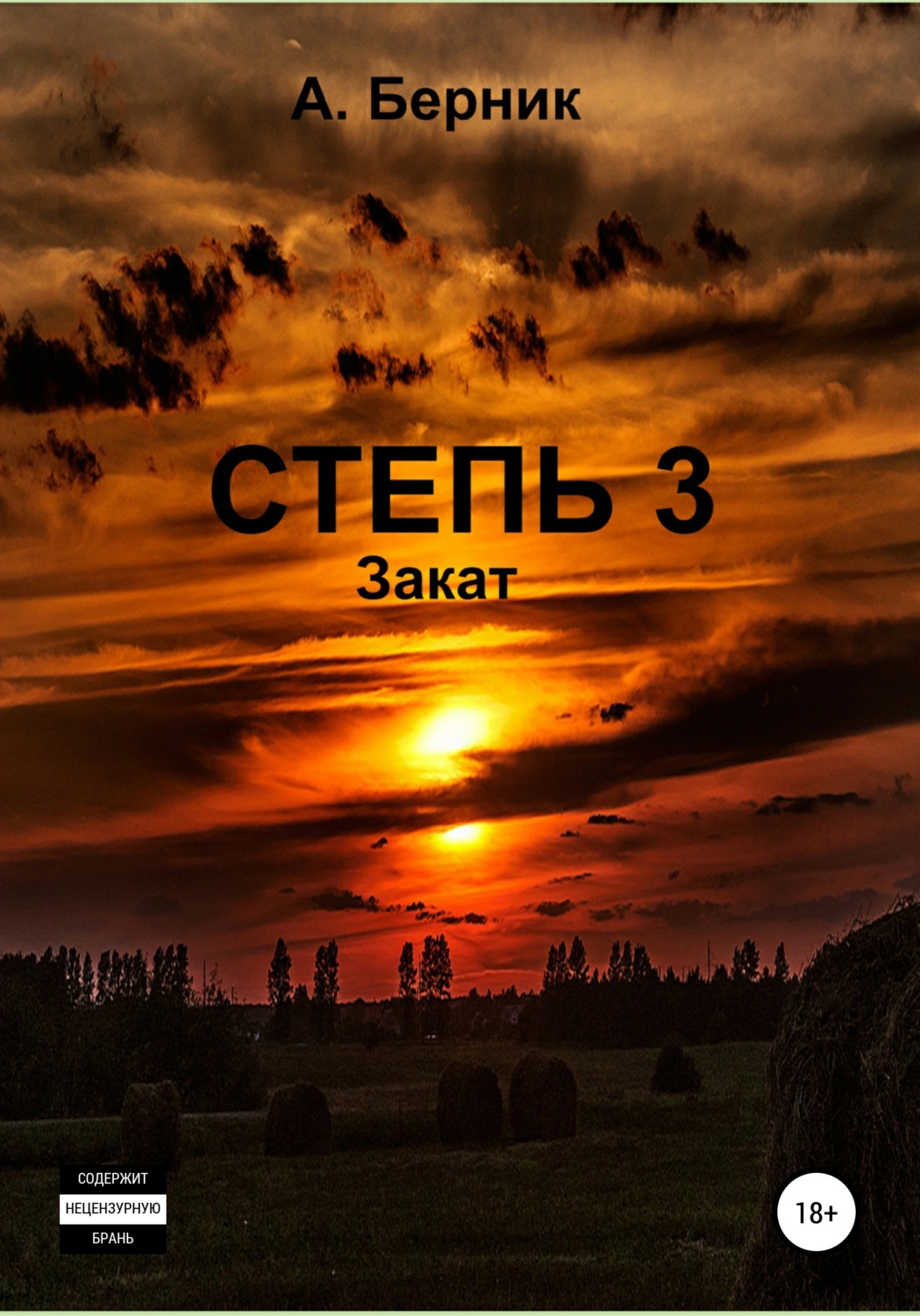 Обложка книги «Степь 3. Закат»