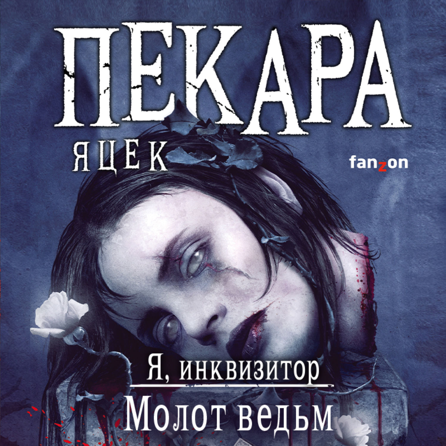 Обложка книги «Молот ведьм»