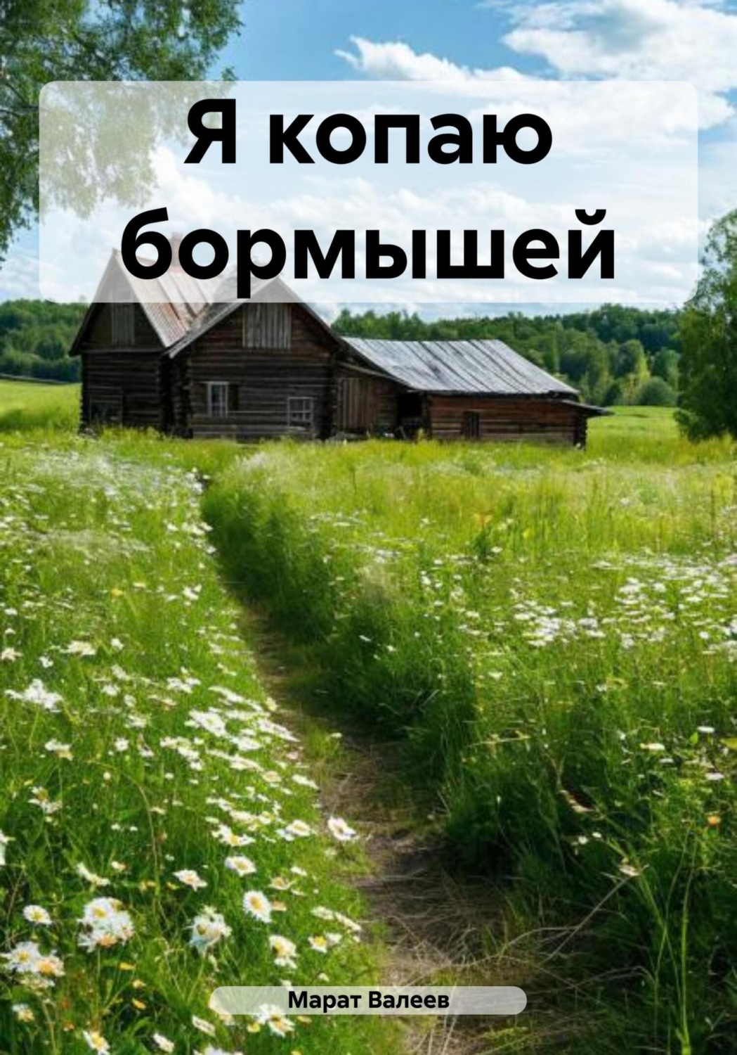 Обложка книги «Я копаю бормышей»
