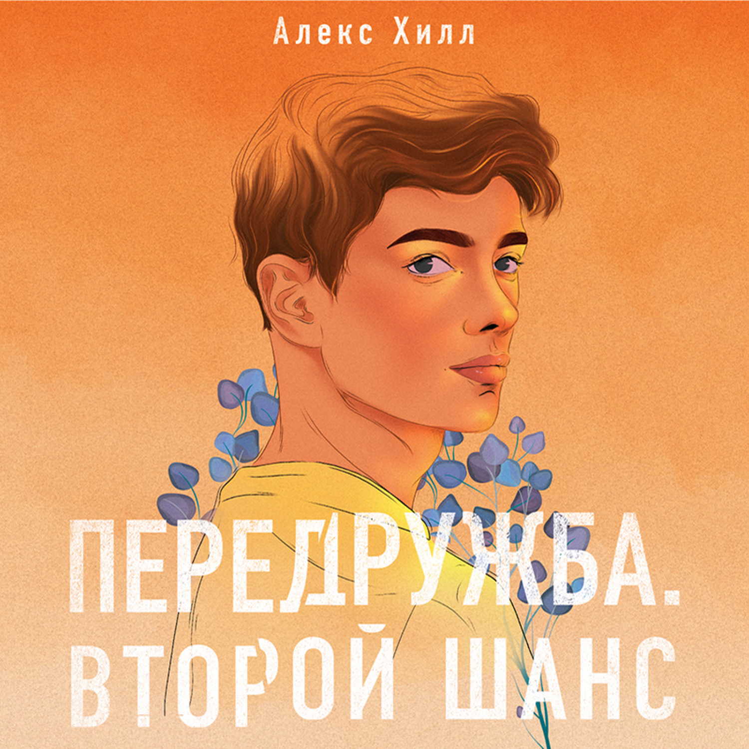 Обложка книги «Передружба. Второй шанс»