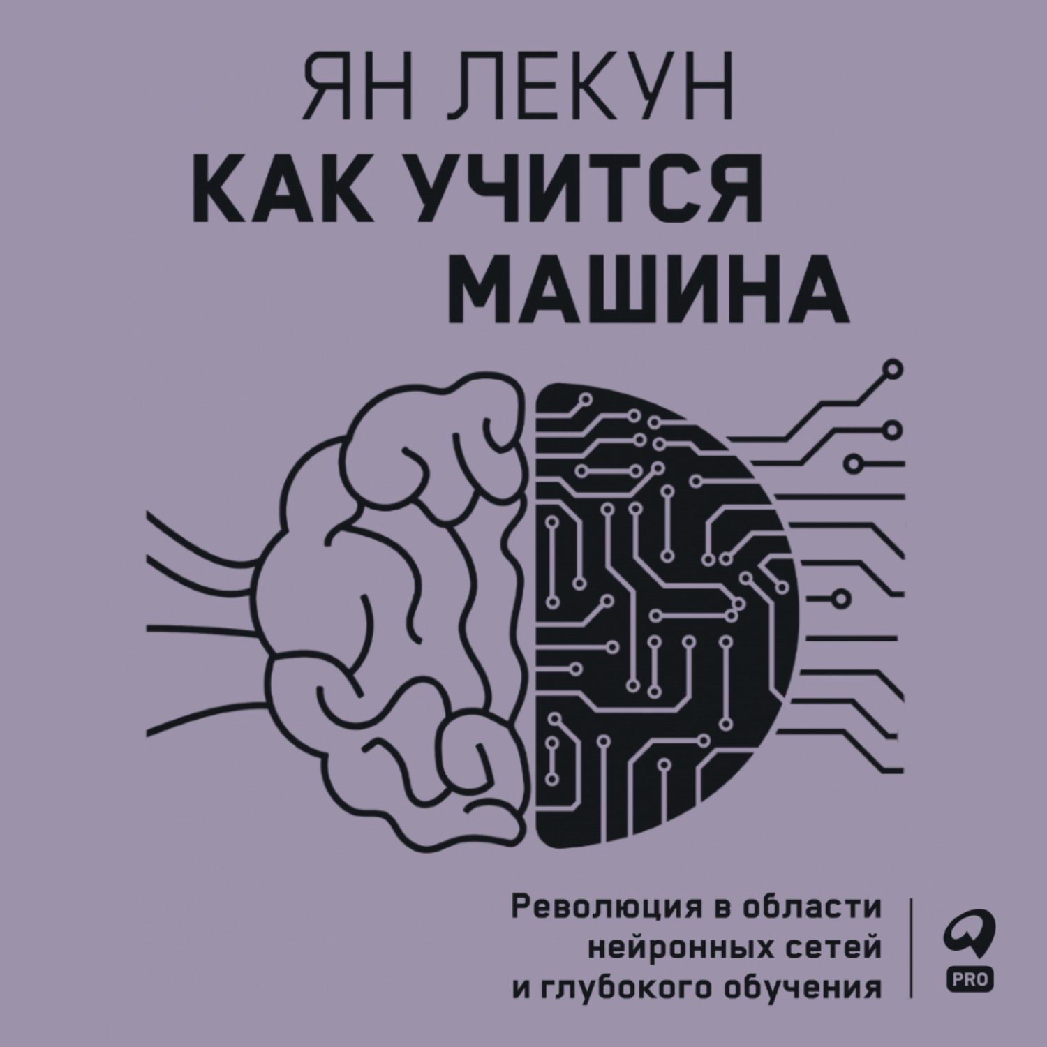 Обложка книги «Как учится машина. Революция в области нейронных сетей и глубокого обучения»