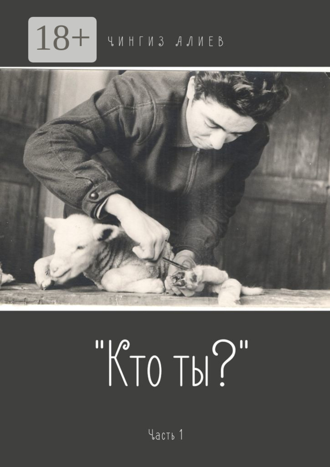 Обложка книги ««Кто ты?». Часть 1»