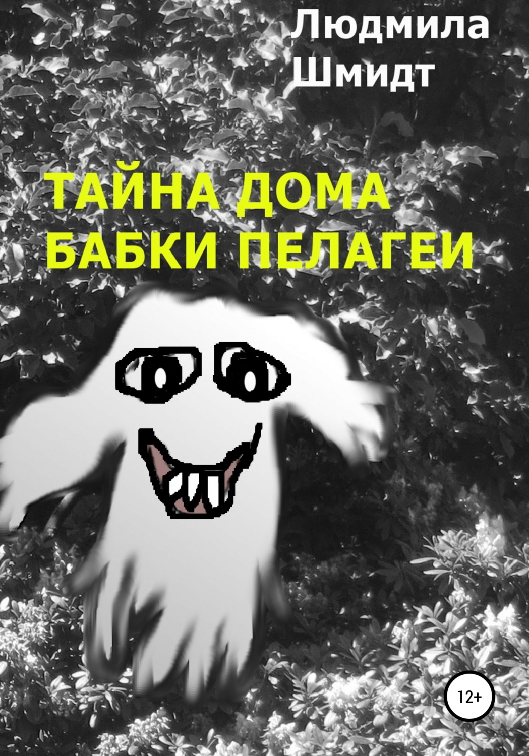 Обложка книги «ТАЙНА ДОМА БАБКИ ПЕЛАГЕИ»
