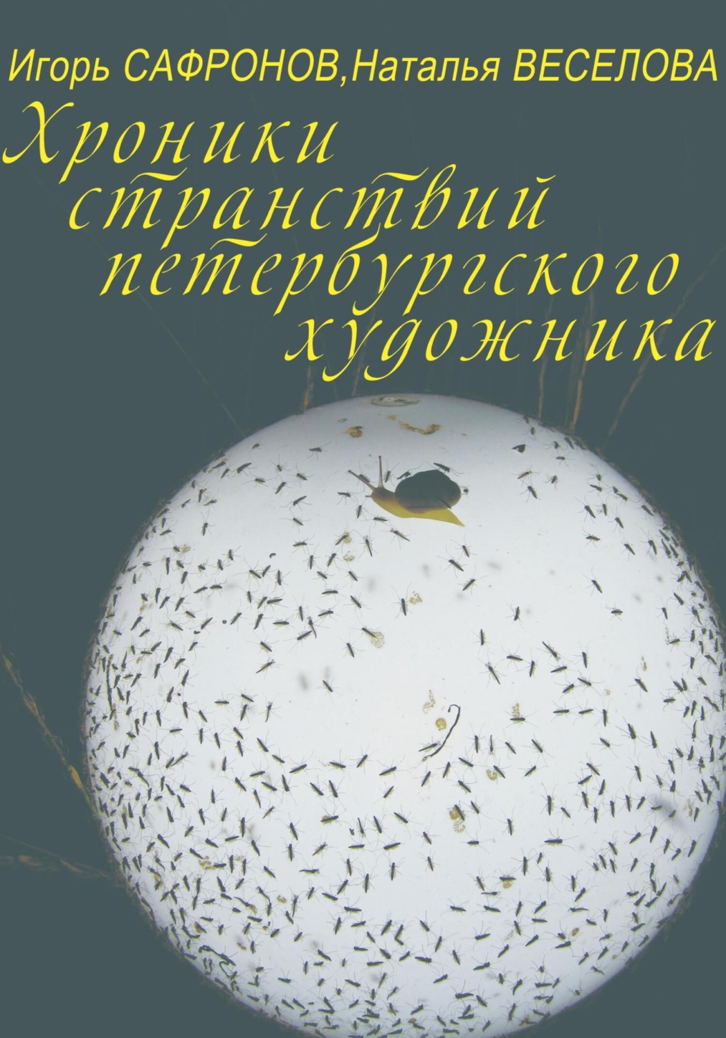 Обложка книги «Хроники странствий петербургского художника»