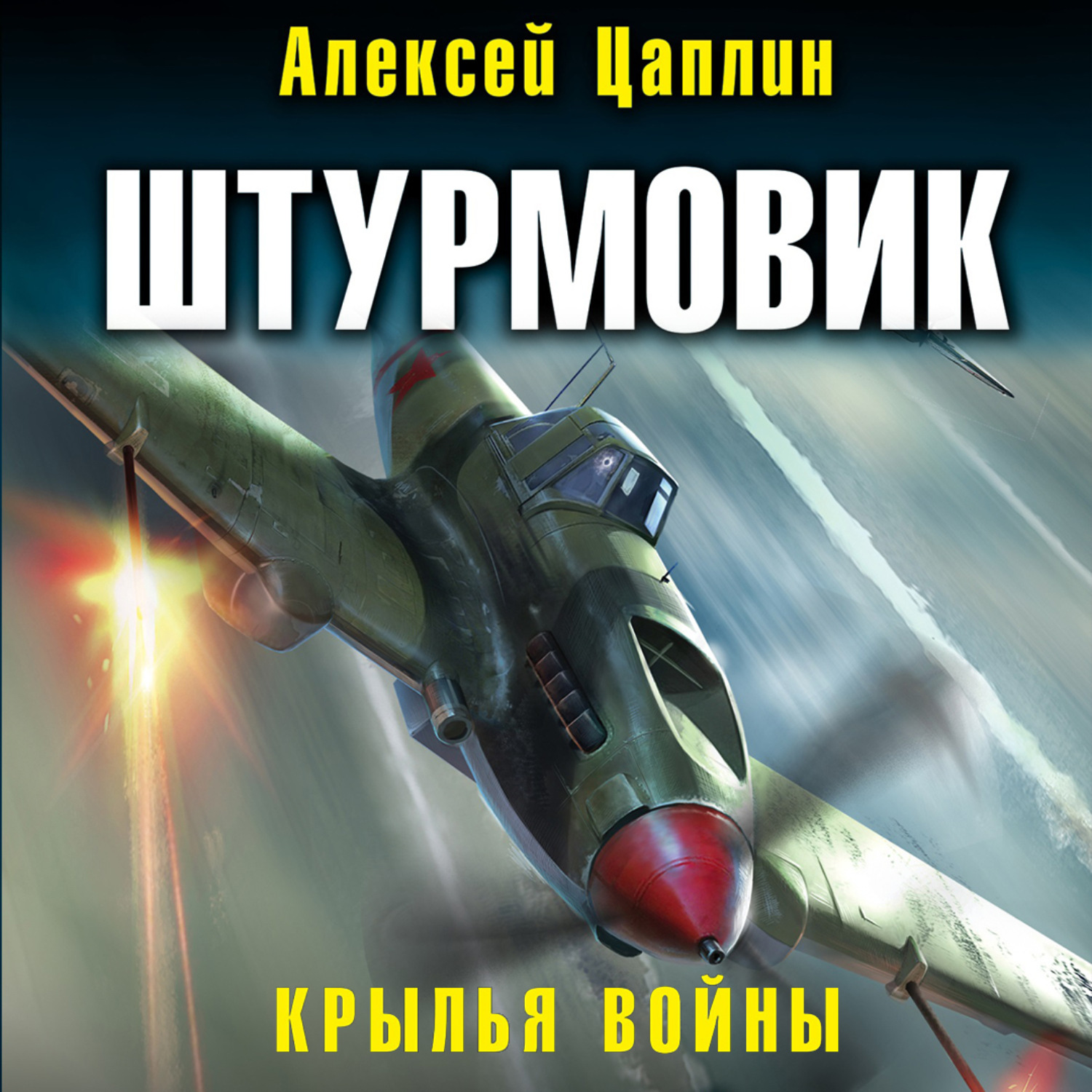 Обложка книги «Штурмовик. Крылья войны»