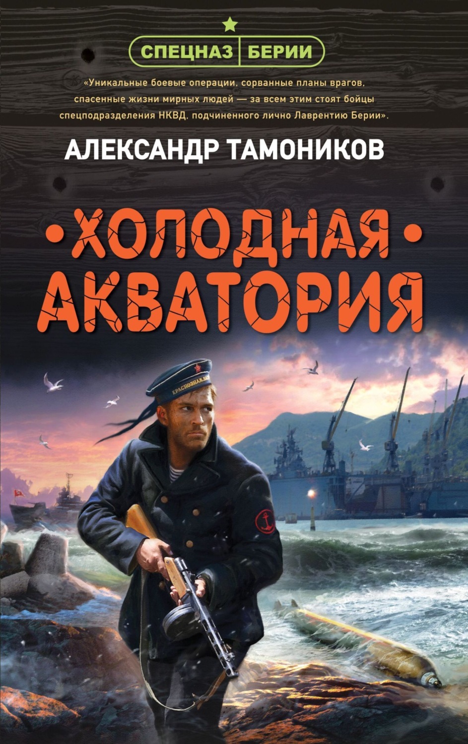 Обложка книги «Холодная акватория»