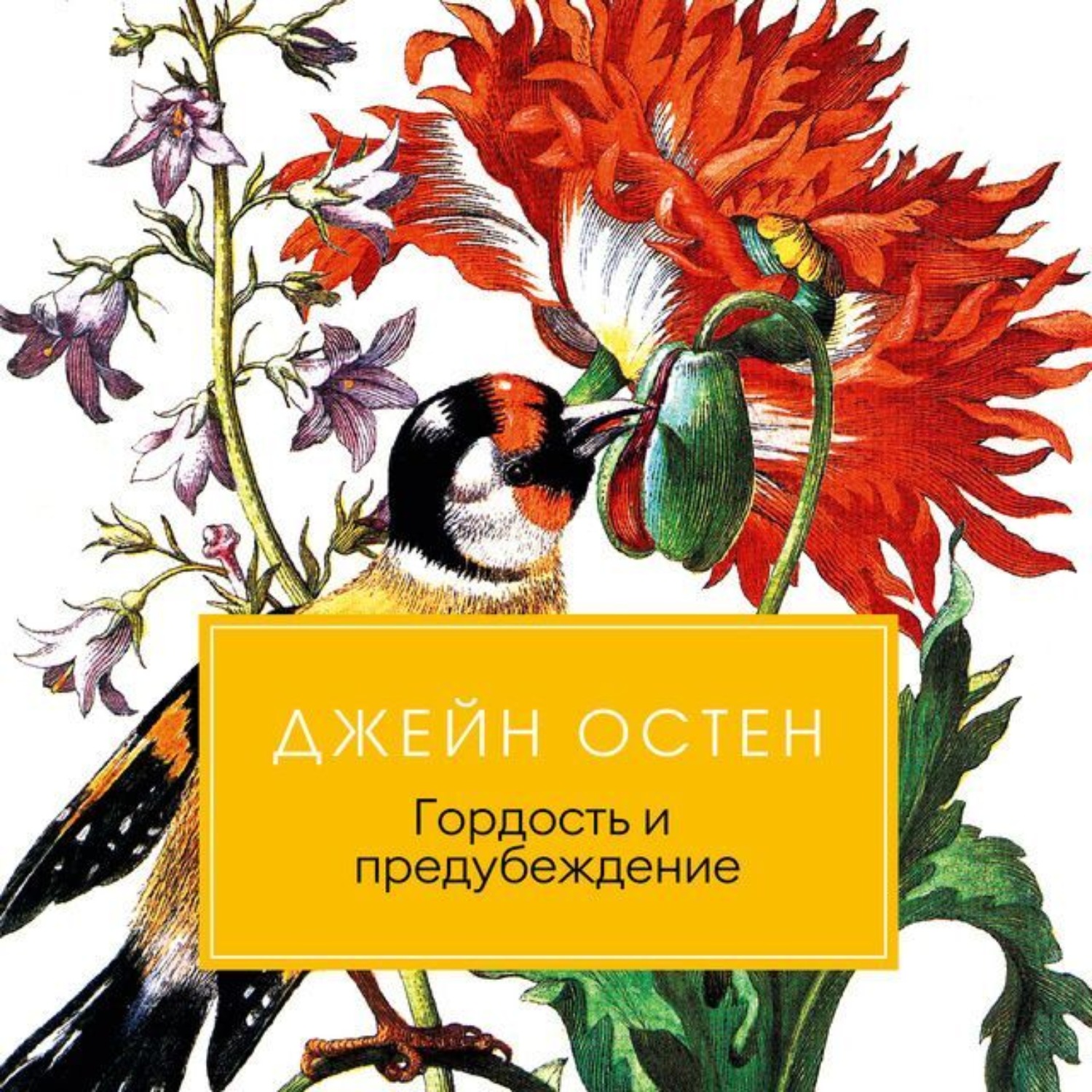 Обложка книги «Гордость и предубеждение»
