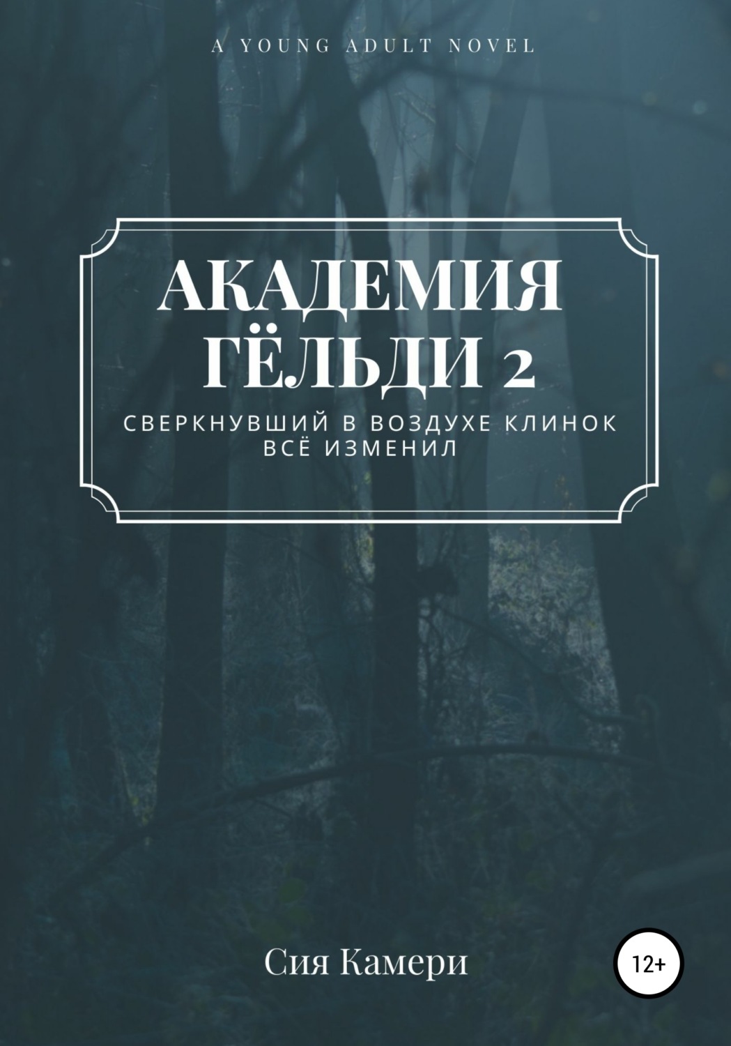 Обложка книги «Академия Гёльди 2»