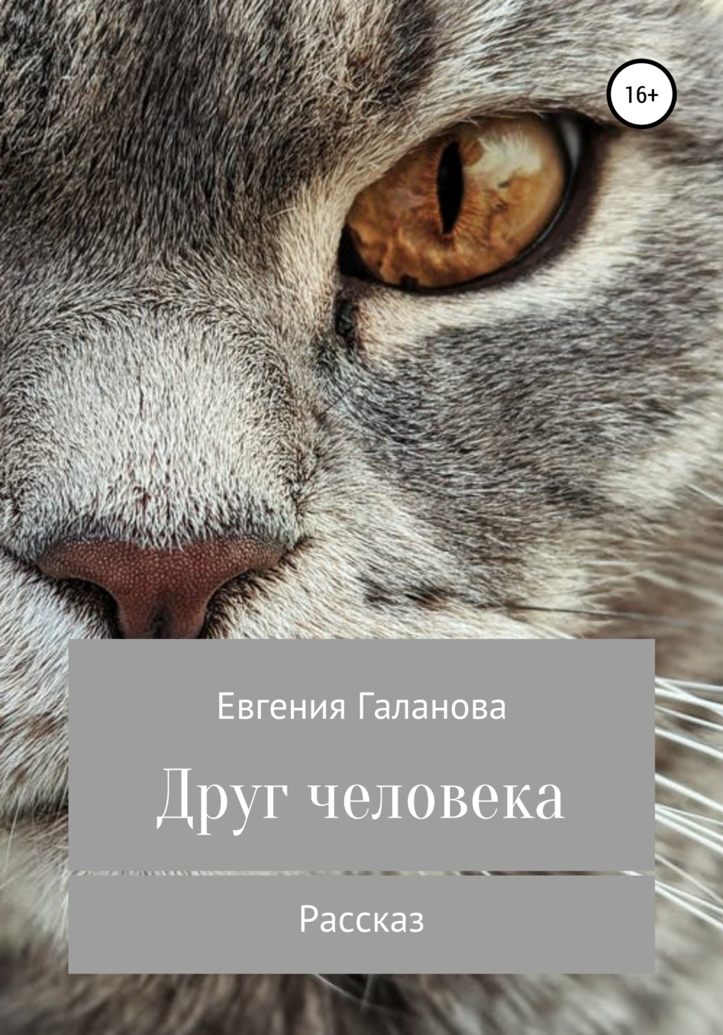 Обложка книги «Друг человека»