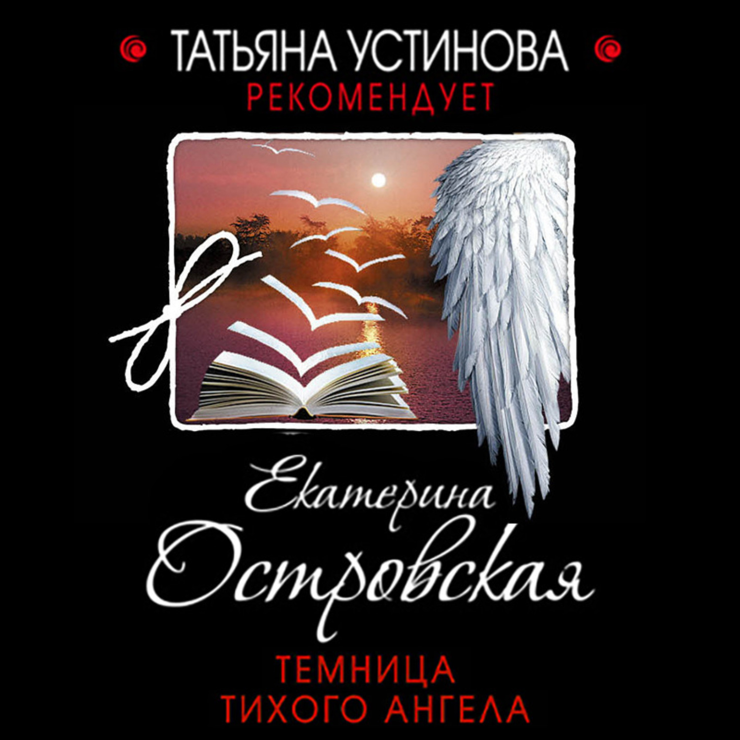 Обложка книги «Темница тихого ангела»