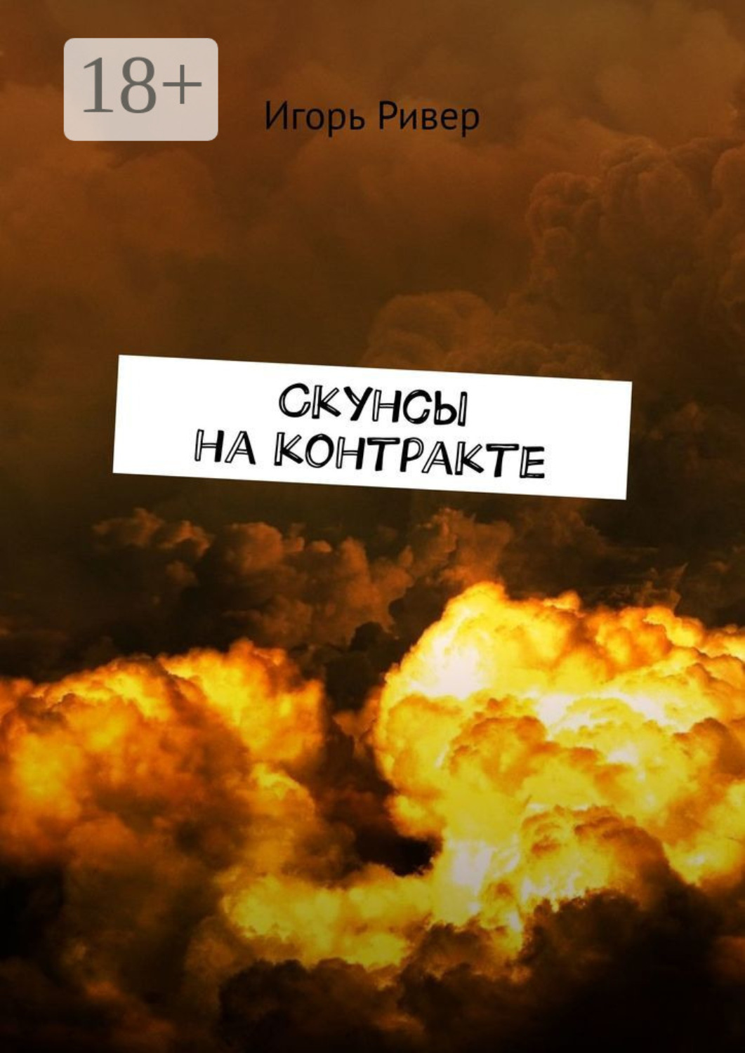 Обложка книги «Скунсы на контракте»