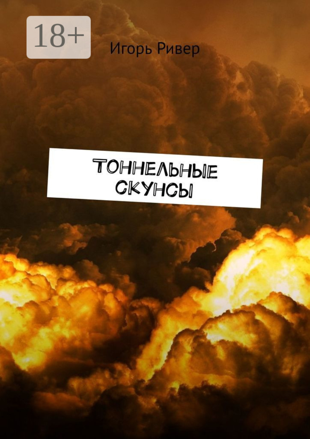 Обложка книги «Тоннельные скунсы»