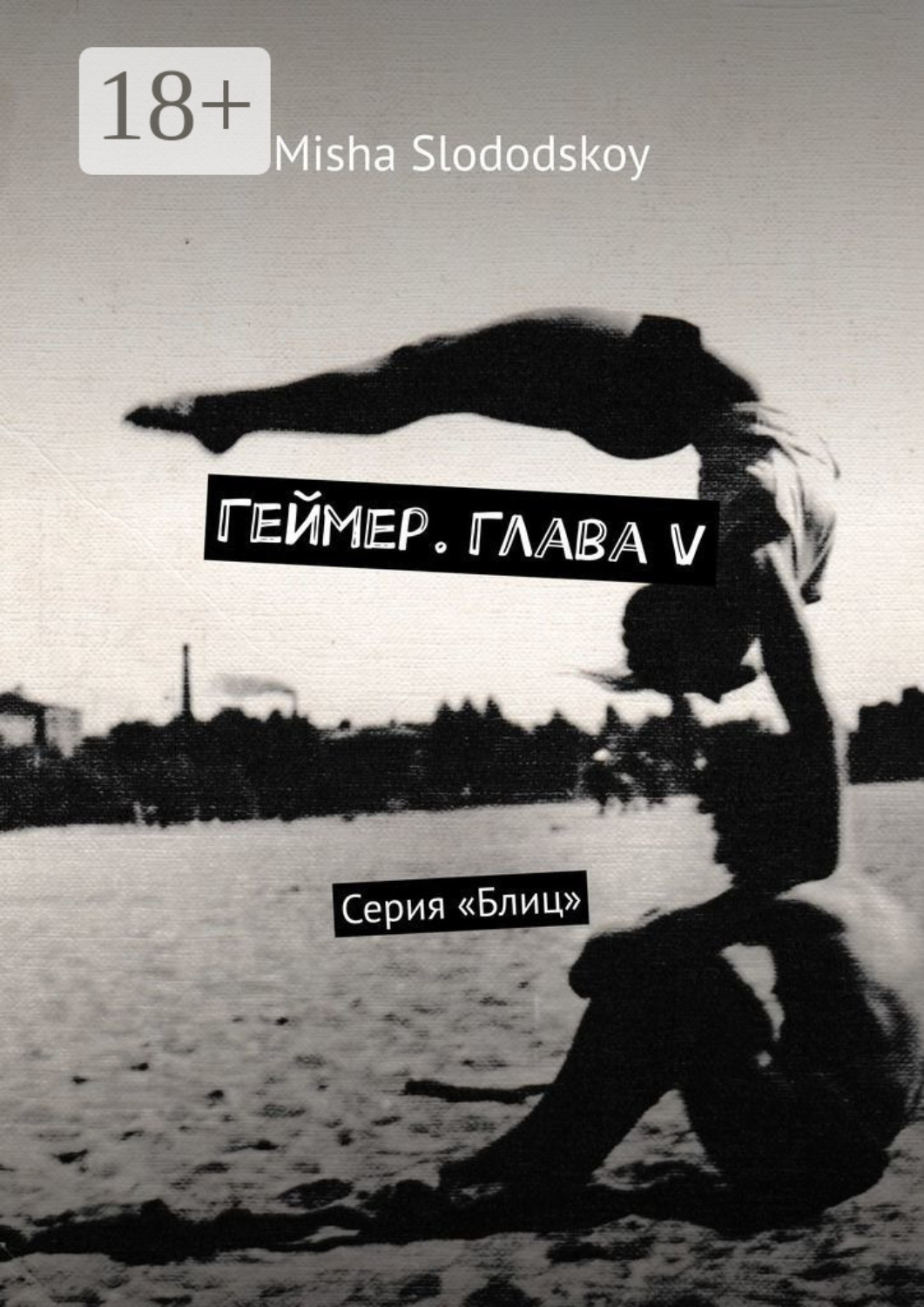 Обложка книги «Геймер. Глава V. Серия «Блиц»»