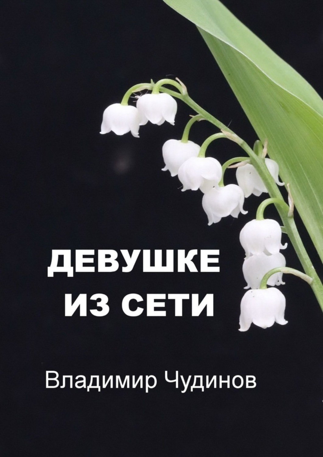 Обложка книги «Девушке из Сети»