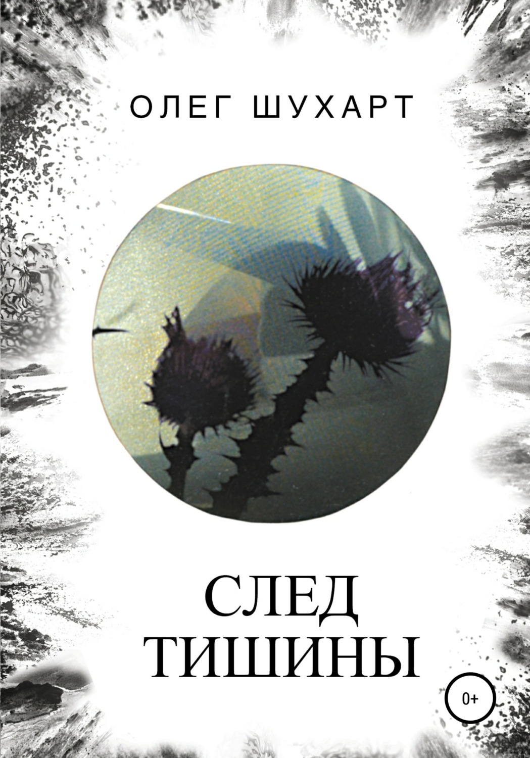 Обложка книги «След тишины»
